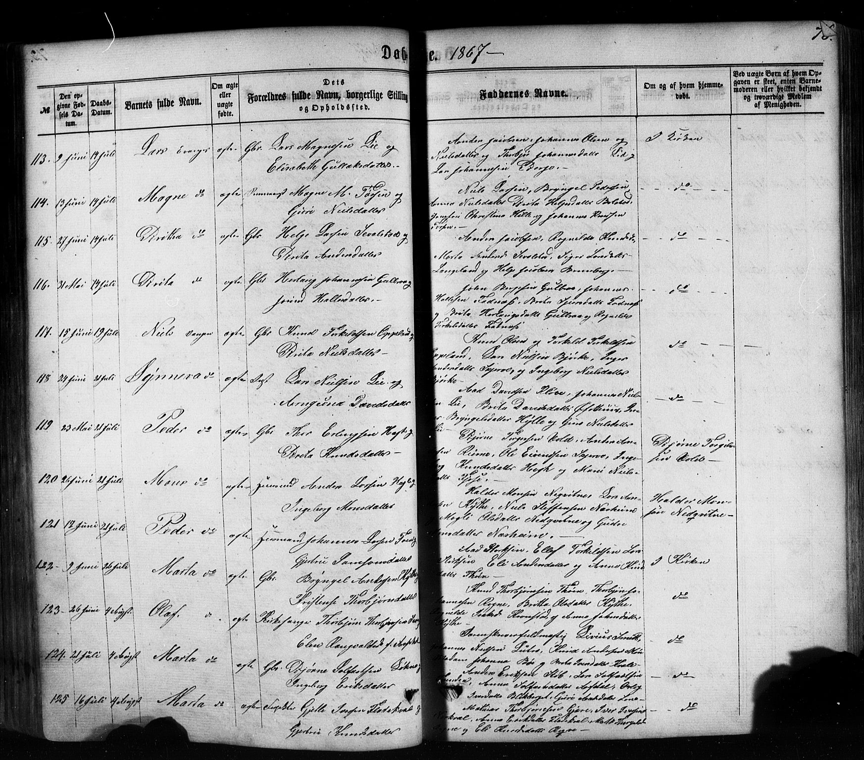 Voss sokneprestembete, SAB/A-79001/H/Haa: Parish register (official) no. A 17, 1863-1886, p. 73