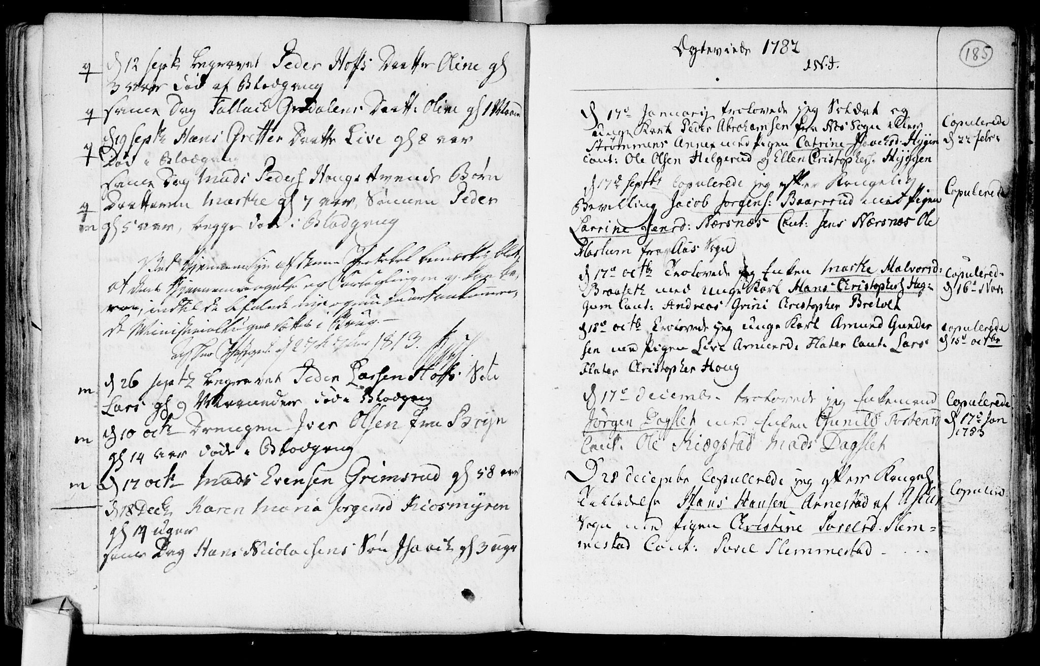 Røyken kirkebøker, SAKO/A-241/F/Fa/L0003: Parish register (official) no. 3, 1782-1813, p. 185