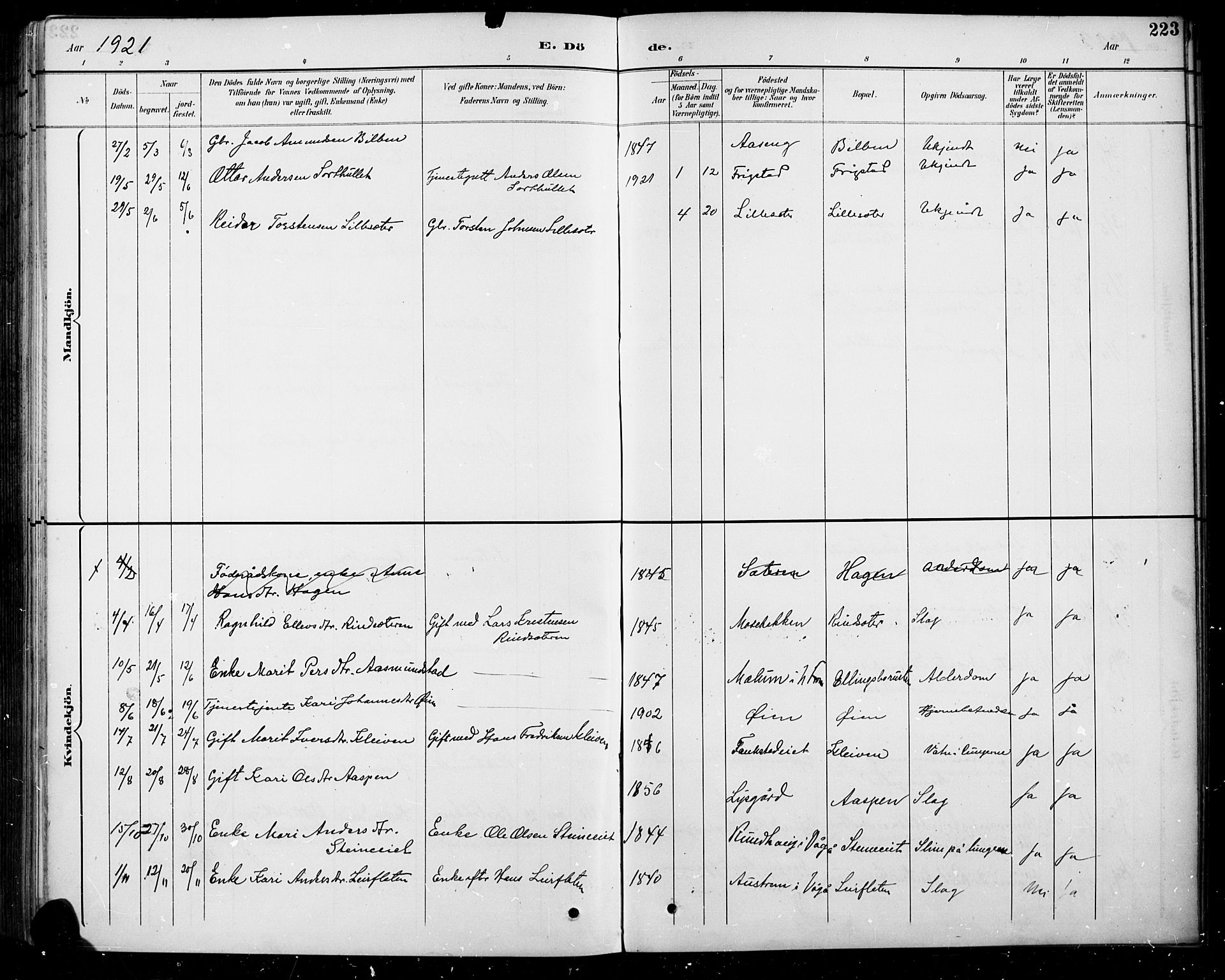 Sel prestekontor, AV/SAH-PREST-074/H/Ha/Hab/L0005: Parish register (copy) no. 5, 1894-1923, p. 223