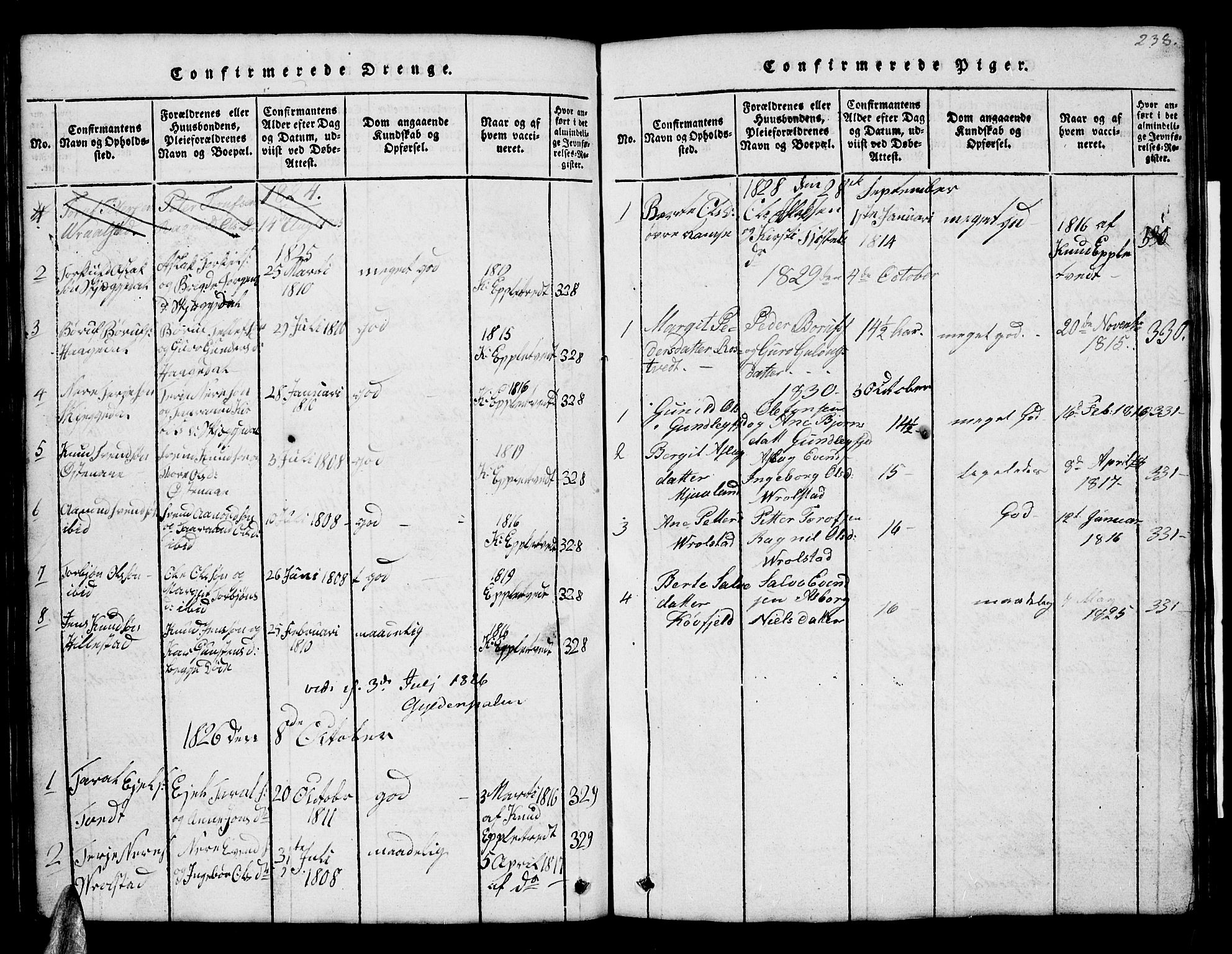 Åmli sokneprestkontor, AV/SAK-1111-0050/F/Fb/Fbb/L0001: Parish register (copy) no. B 1, 1816-1889, p. 238