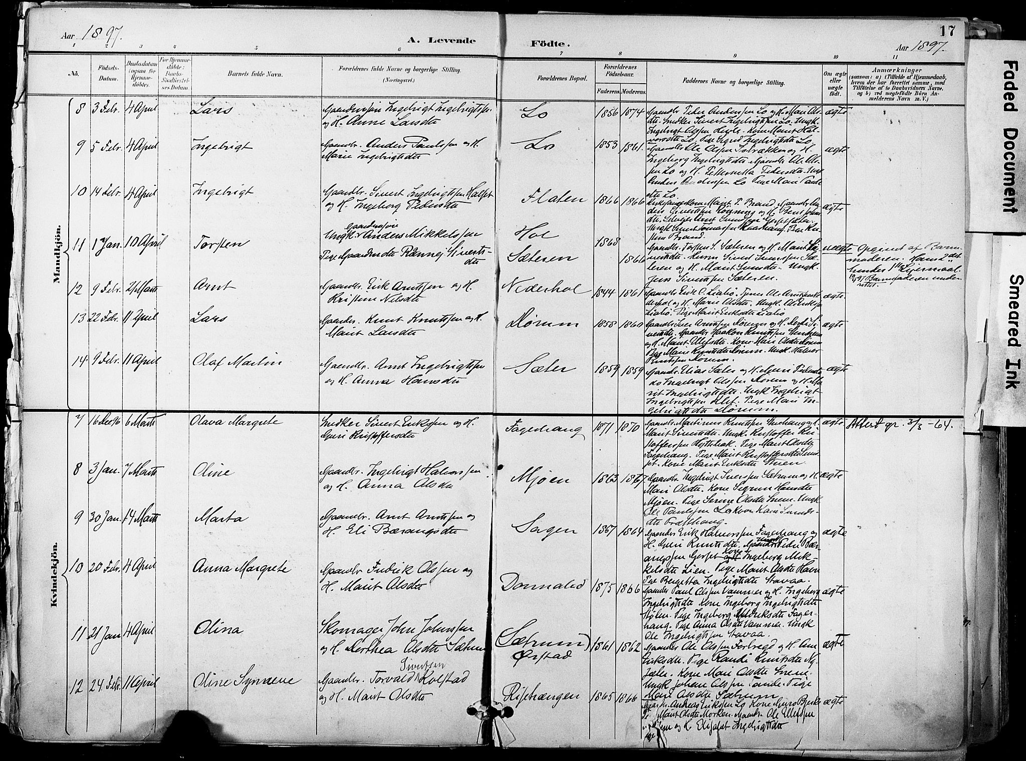 Ministerialprotokoller, klokkerbøker og fødselsregistre - Sør-Trøndelag, SAT/A-1456/678/L0902: Parish register (official) no. 678A11, 1895-1911, p. 17
