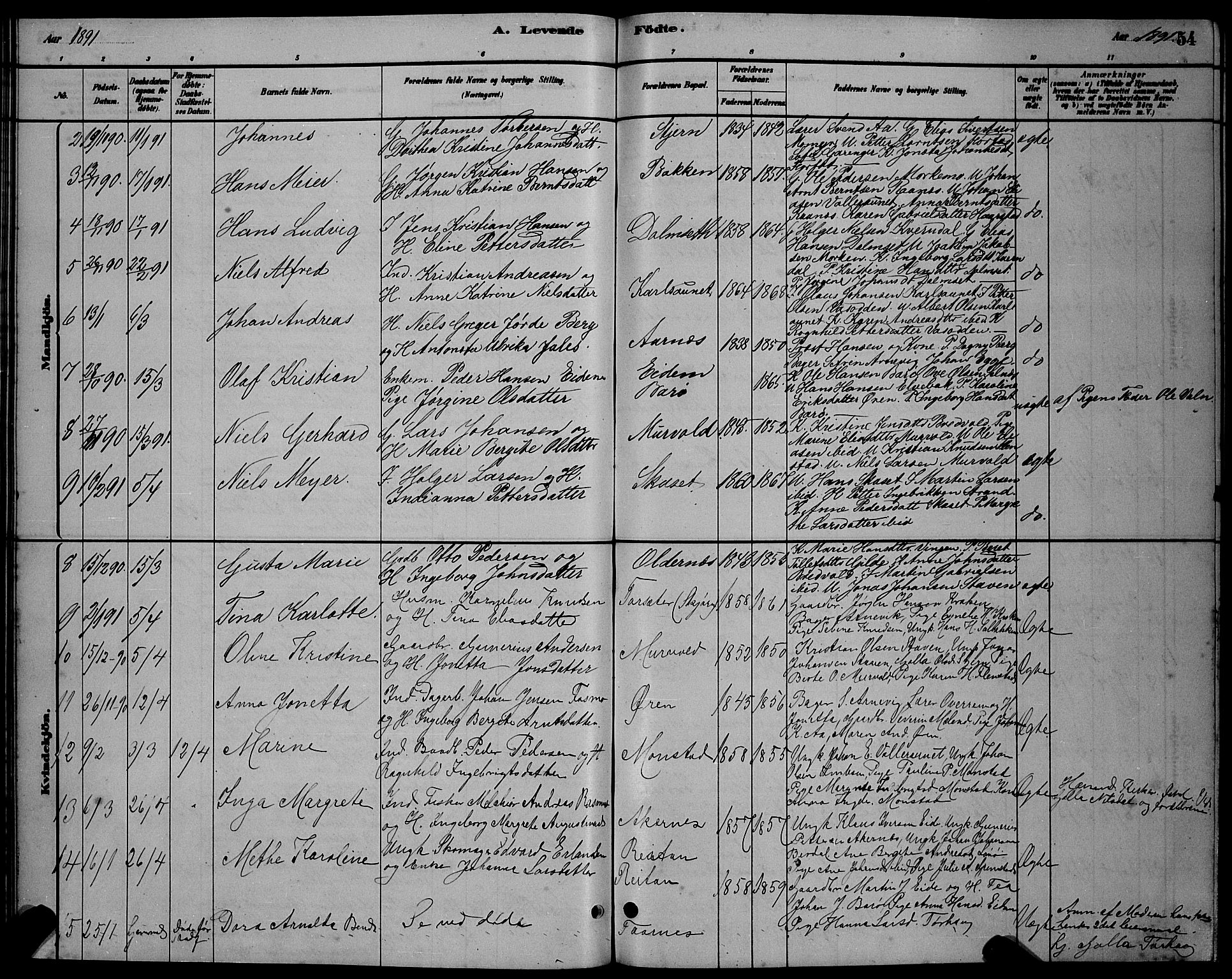 Ministerialprotokoller, klokkerbøker og fødselsregistre - Sør-Trøndelag, SAT/A-1456/655/L0687: Parish register (copy) no. 655C03, 1880-1898, p. 54
