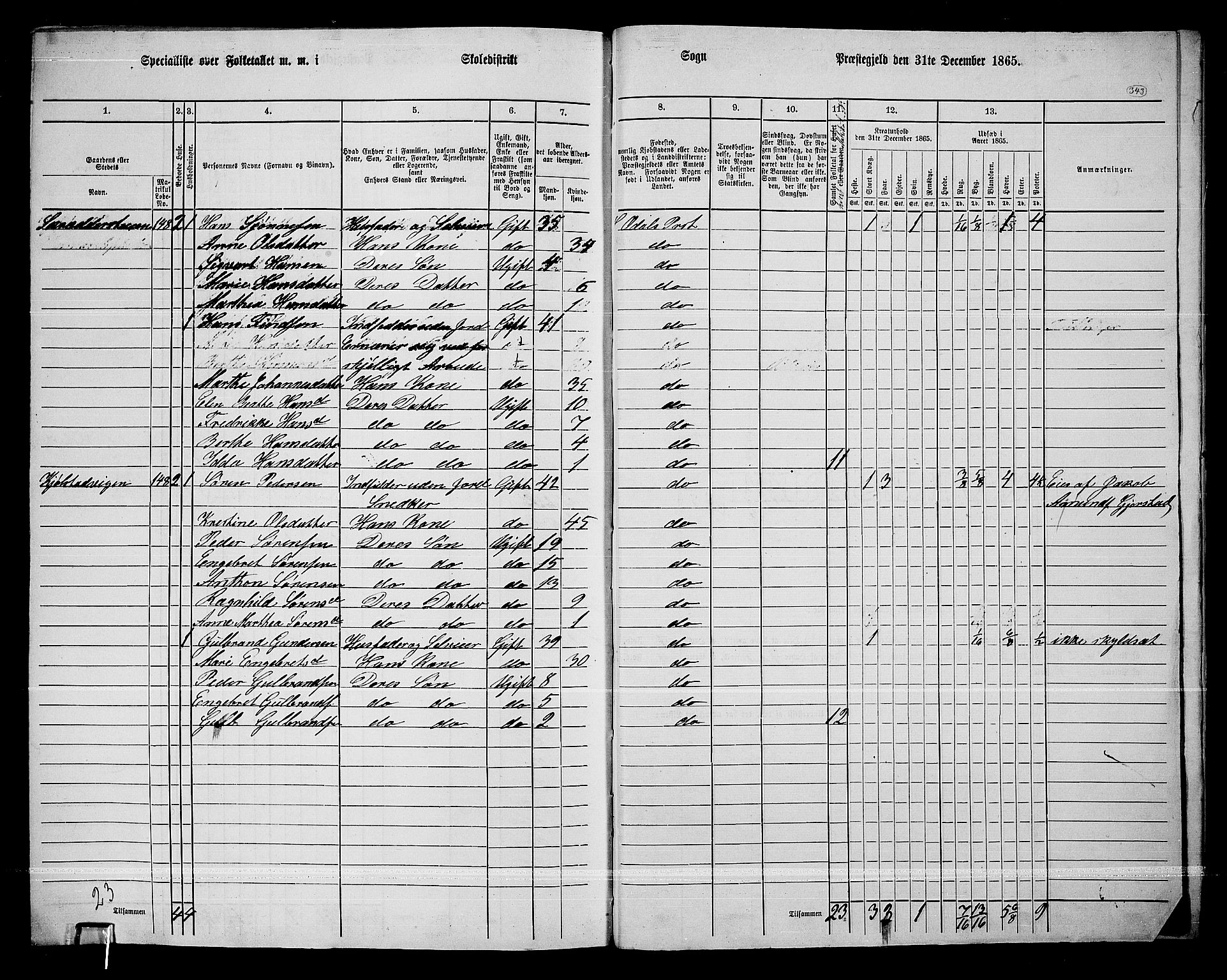 RA, 1865 census for Sør-Odal, 1865, p. 302