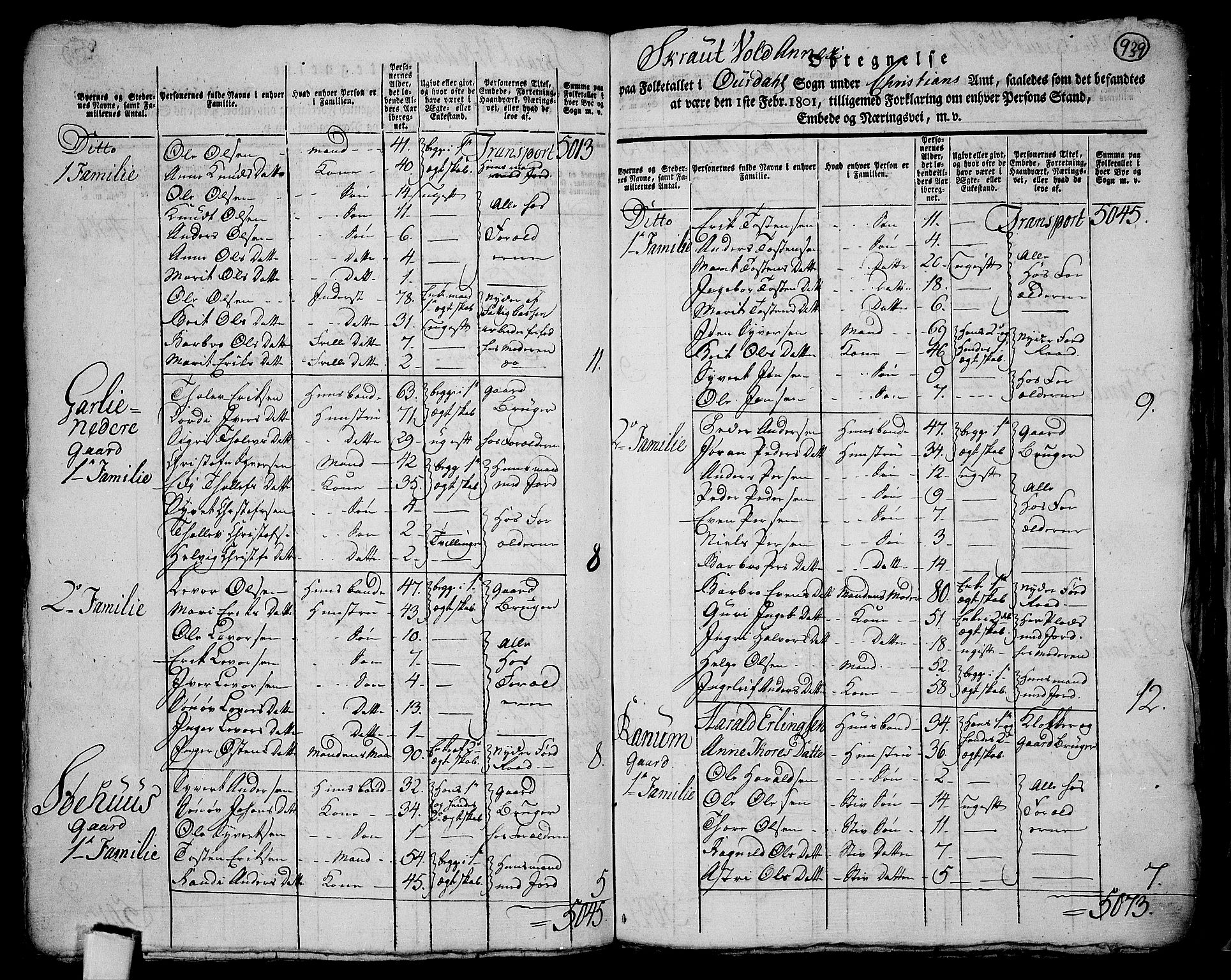 RA, 1801 census for 0542P Aurdal, 1801, p. 938b-939a