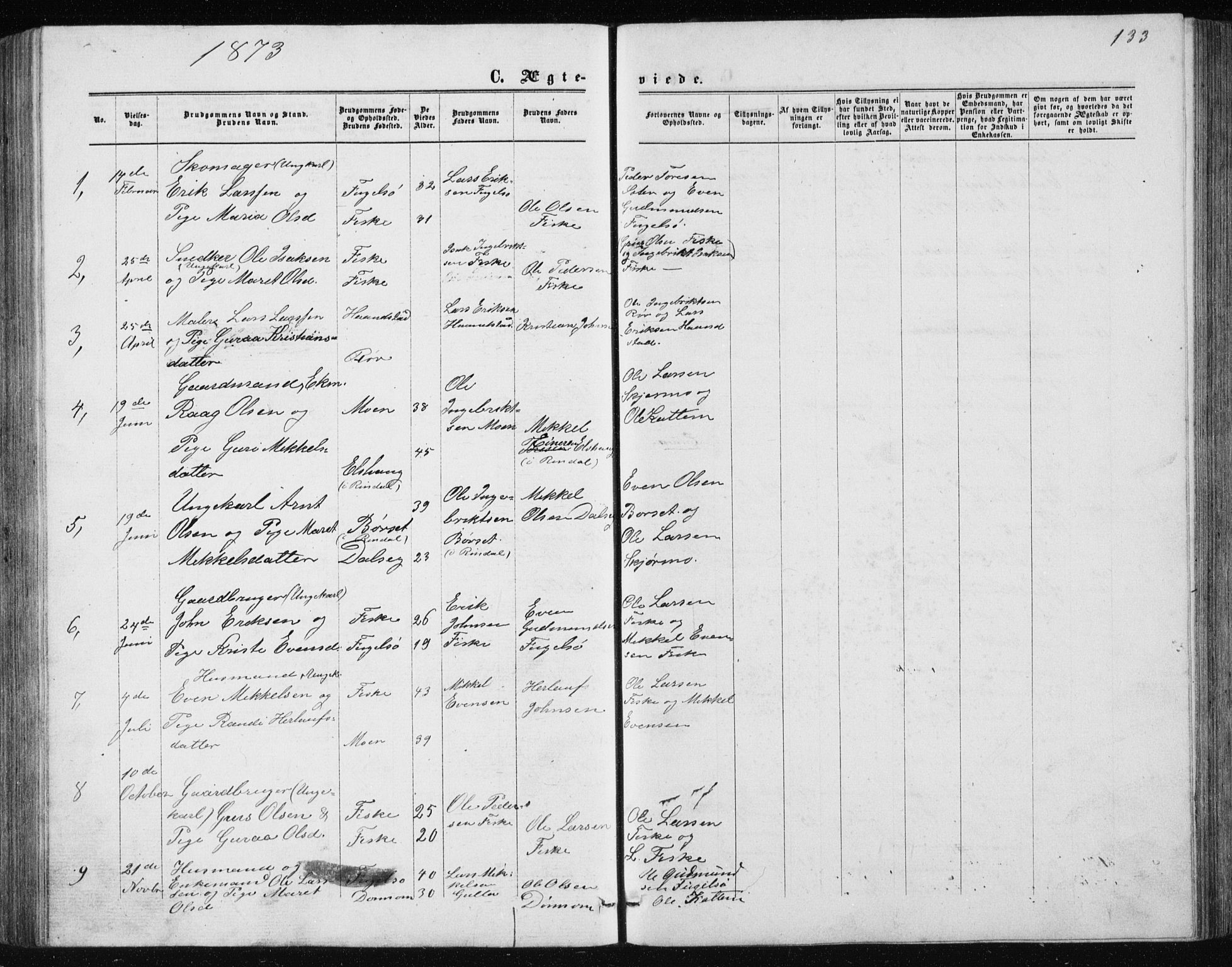 Ministerialprotokoller, klokkerbøker og fødselsregistre - Møre og Romsdal, AV/SAT-A-1454/597/L1064: Parish register (copy) no. 597C01, 1866-1898, p. 133