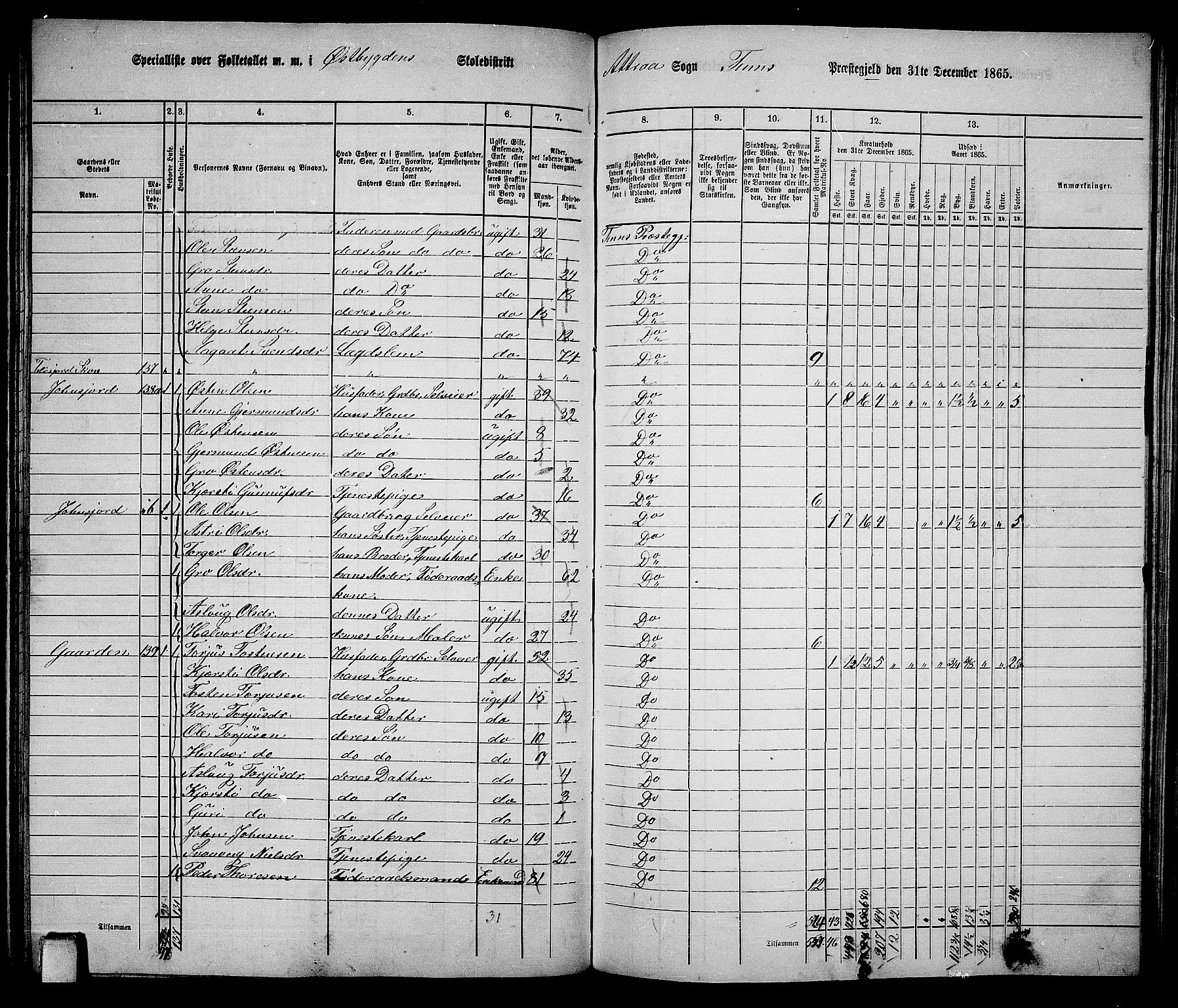 RA, 1865 census for Tinn, 1865, p. 28