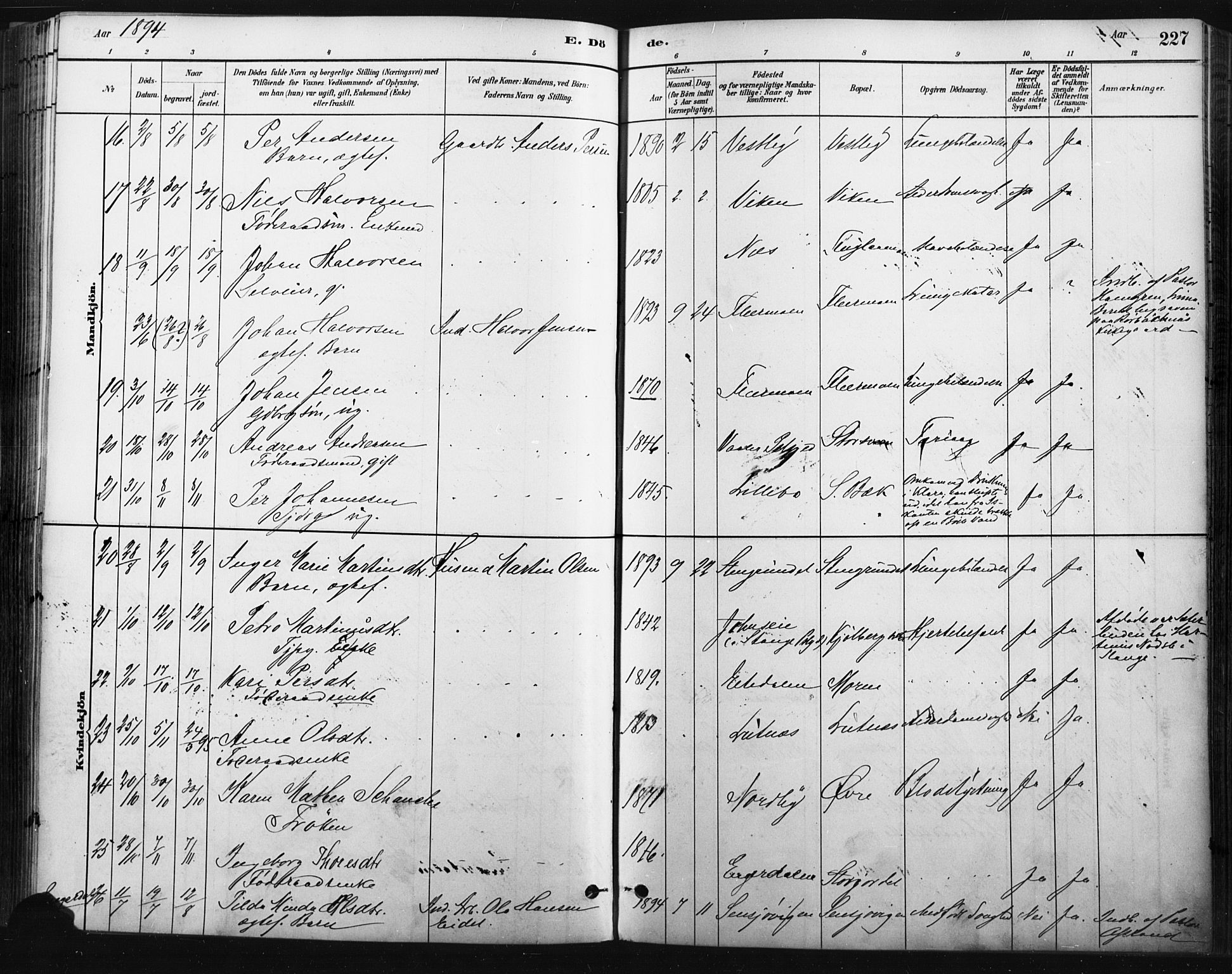 Trysil prestekontor, AV/SAH-PREST-046/H/Ha/Haa/L0009: Parish register (official) no. 9, 1881-1897, p. 227