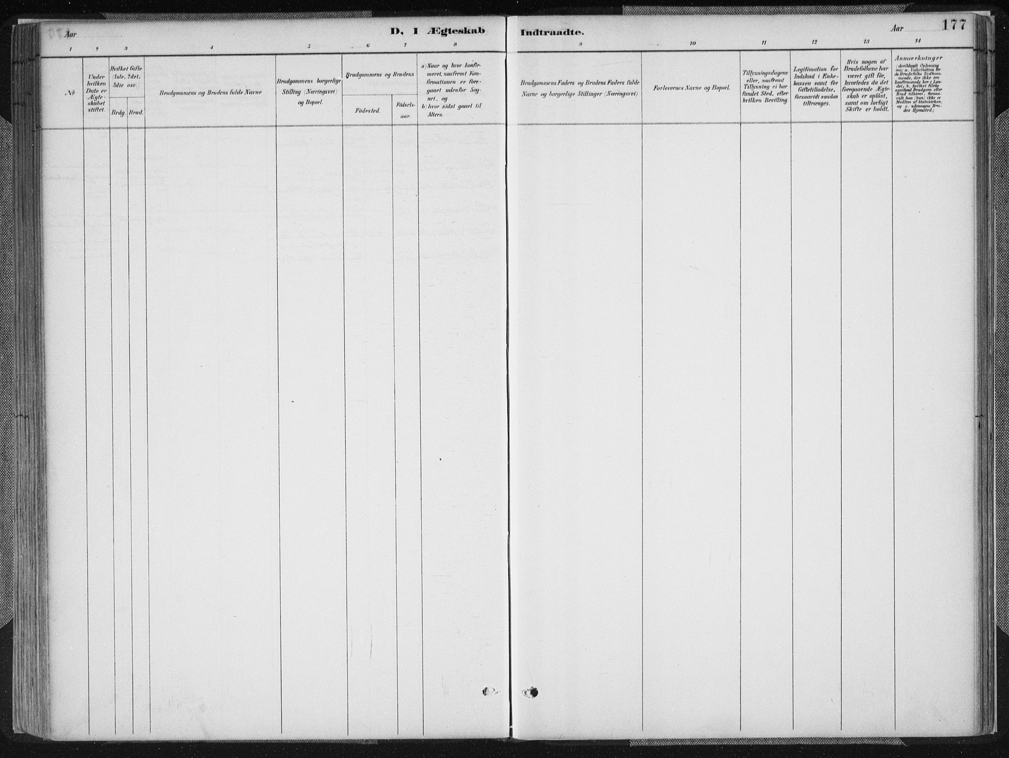 Birkenes sokneprestkontor, SAK/1111-0004/F/Fa/L0005: Parish register (official) no. A 5, 1887-1907, p. 177