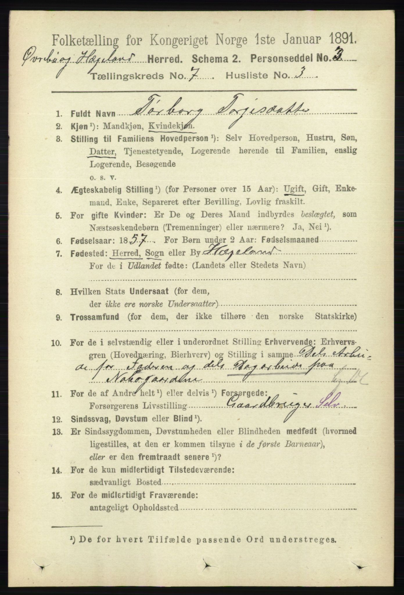 RA, 1891 census for 1016 Øvrebø og Hægeland, 1891, p. 1353