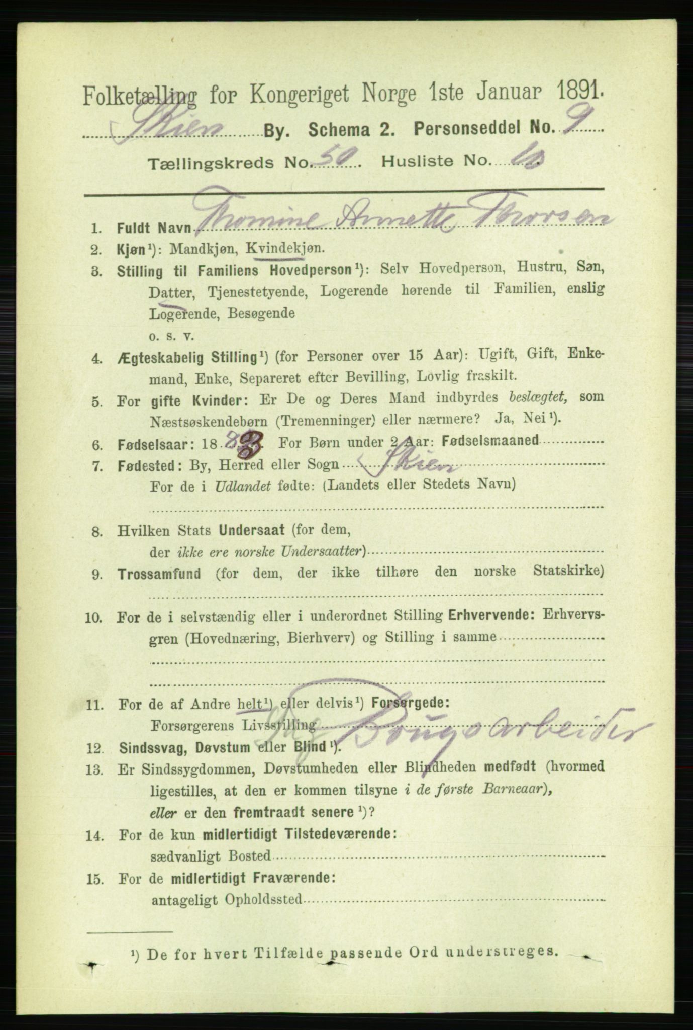 RA, 1891 census for 0806 Skien, 1891, p. 10858