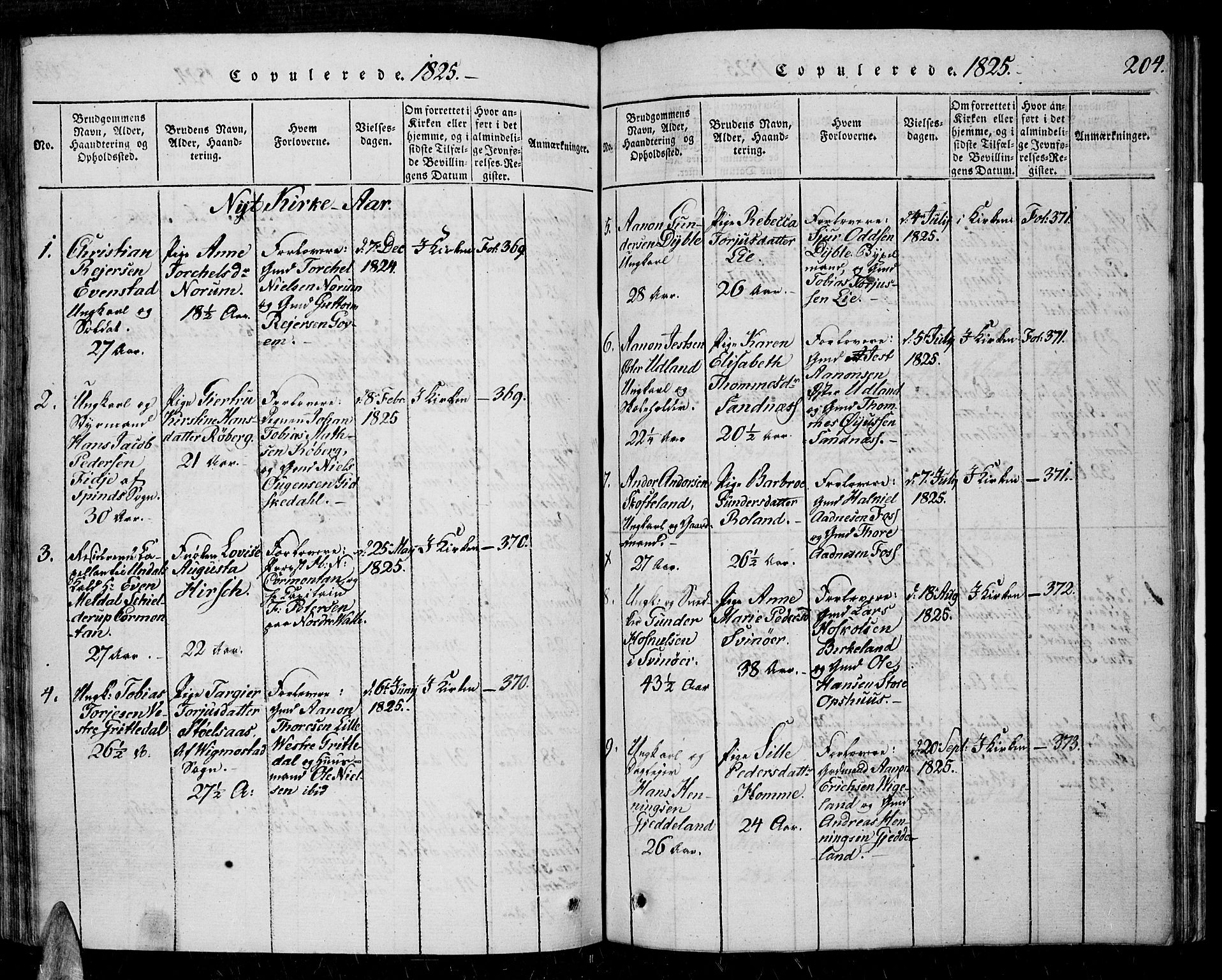 Sør-Audnedal sokneprestkontor, SAK/1111-0039/F/Fa/Fab/L0005: Parish register (official) no. A 5, 1816-1830, p. 204