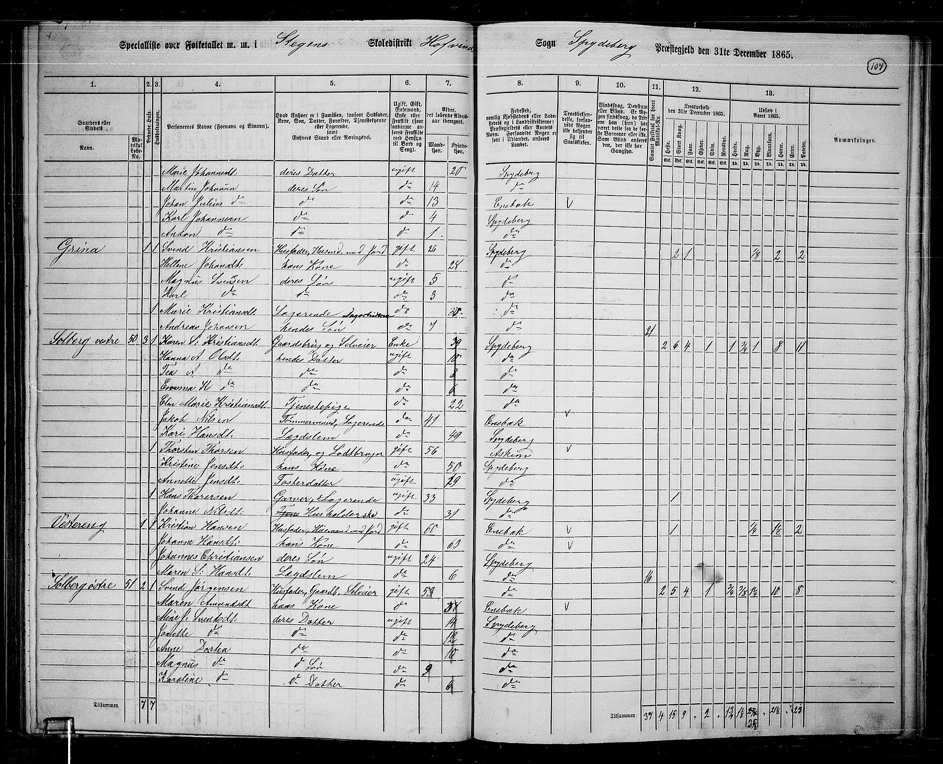 RA, 1865 census for Spydeberg, 1865, p. 95