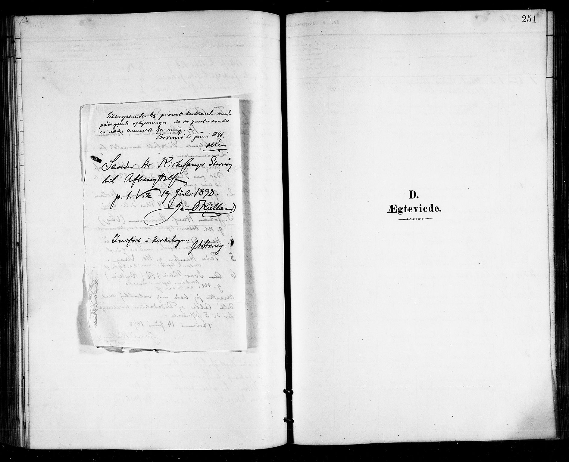 Ministerialprotokoller, klokkerbøker og fødselsregistre - Nordland, AV/SAT-A-1459/812/L0188: Parish register (copy) no. 812C06, 1884-1912, p. 251