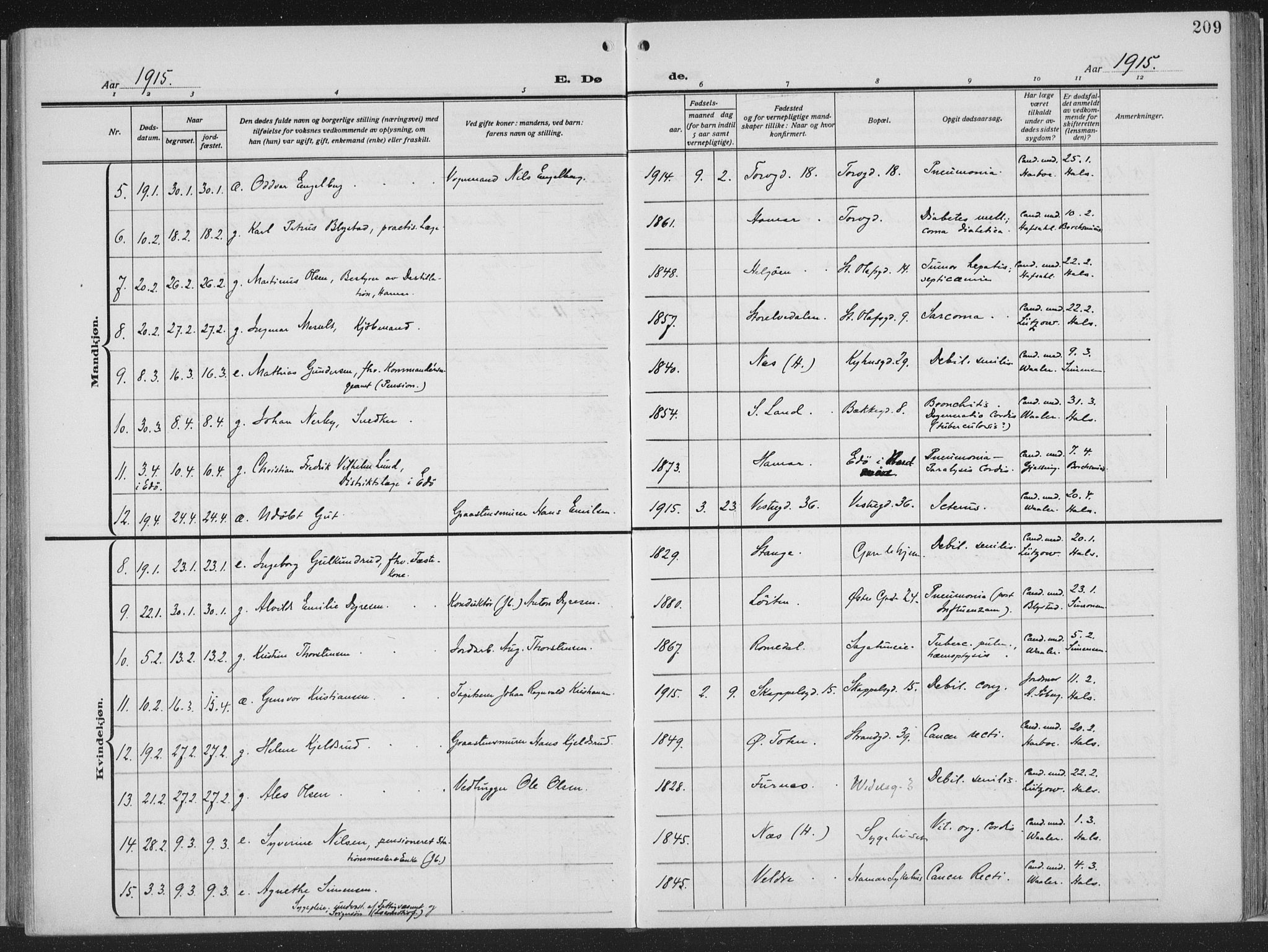 Hamar prestekontor, AV/SAH-DOMPH-002/H/Ha/Haa/L0002: Parish register (official) no. 2, 1915-1936, p. 209