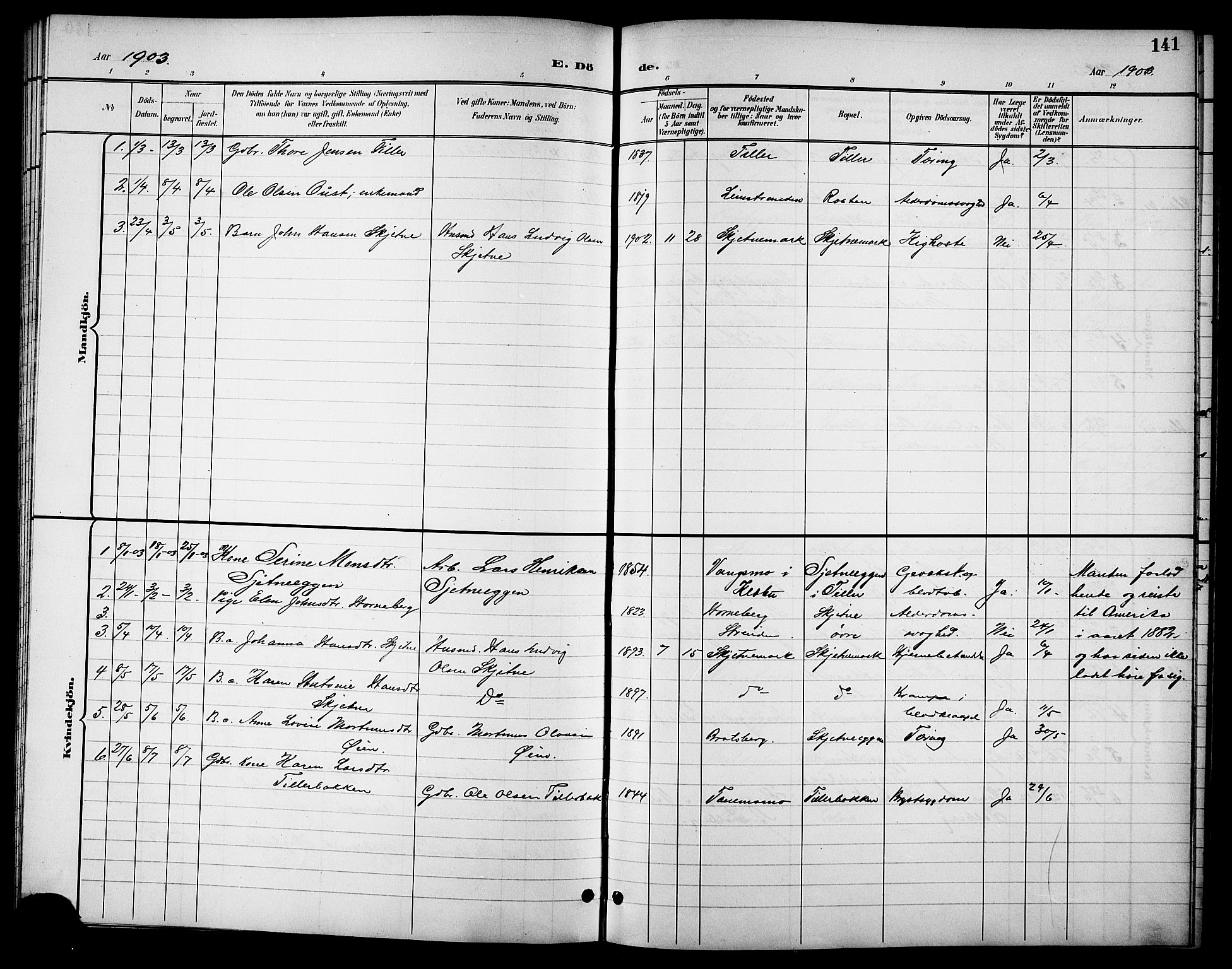 Ministerialprotokoller, klokkerbøker og fødselsregistre - Sør-Trøndelag, SAT/A-1456/621/L0460: Parish register (copy) no. 621C03, 1896-1914, p. 141