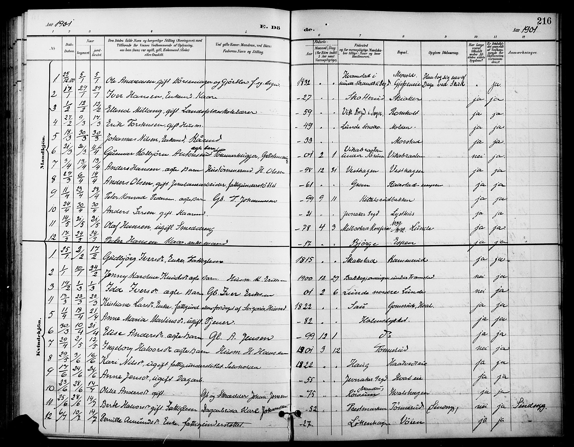 Gran prestekontor, SAH/PREST-112/H/Ha/Haa/L0019: Parish register (official) no. 19, 1898-1907, p. 216