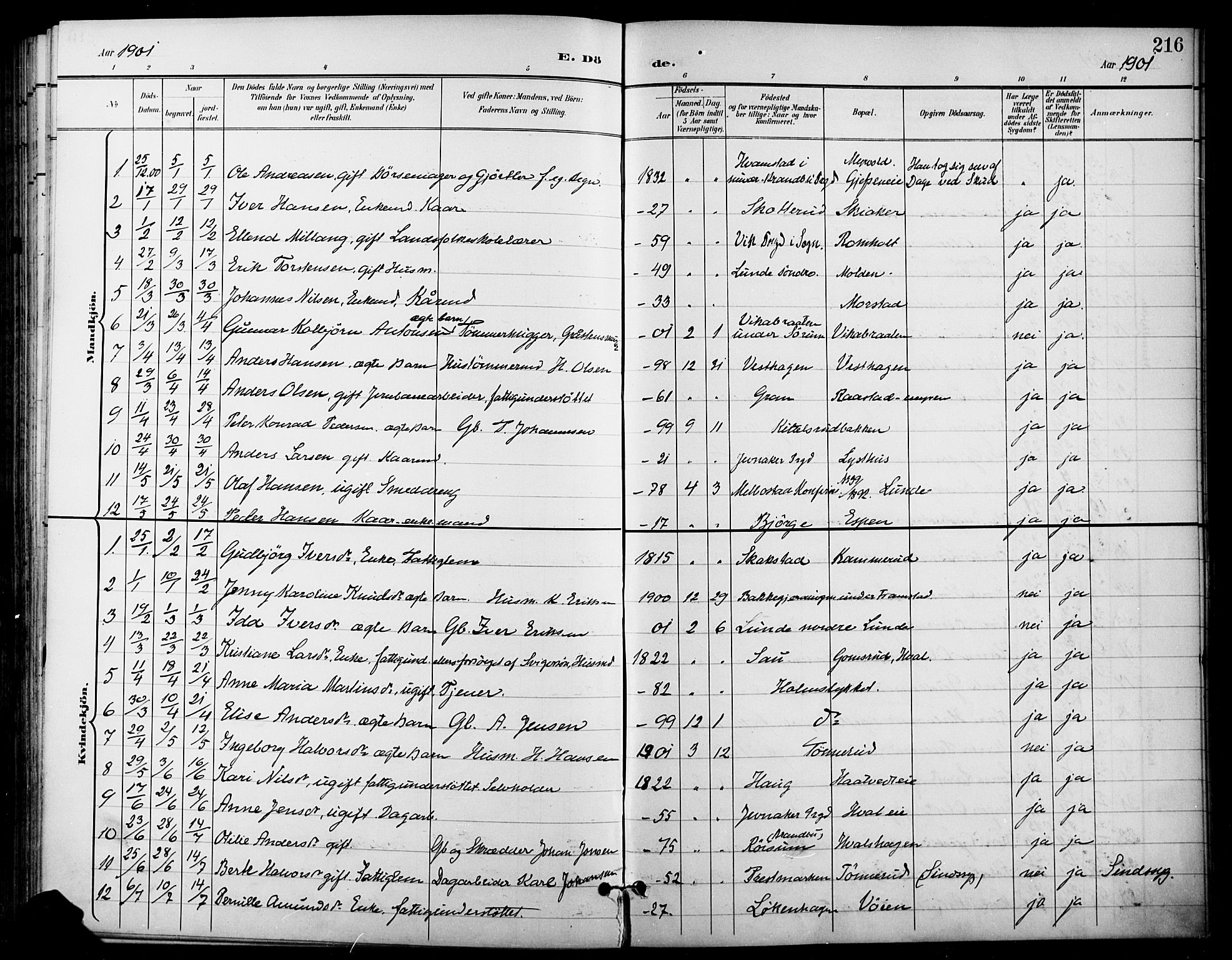 Gran prestekontor, AV/SAH-PREST-112/H/Ha/Haa/L0019: Parish register (official) no. 19, 1898-1907, p. 216