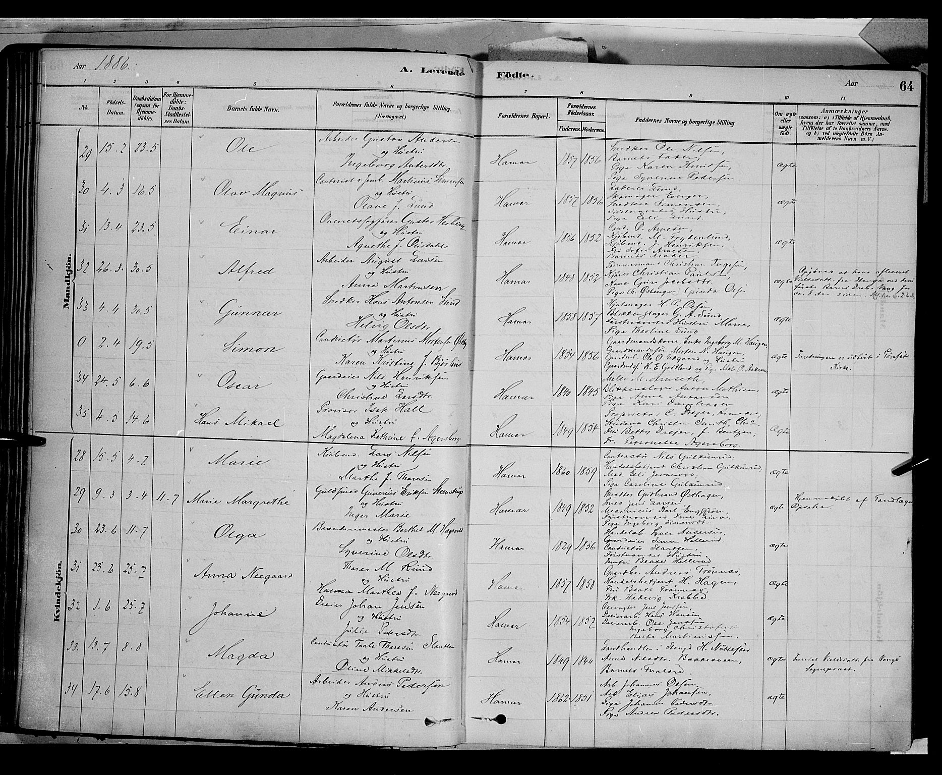 Vang prestekontor, Hedmark, SAH/PREST-008/H/Ha/Haa/L0016: Parish register (official) no. 16, 1878-1889, p. 64
