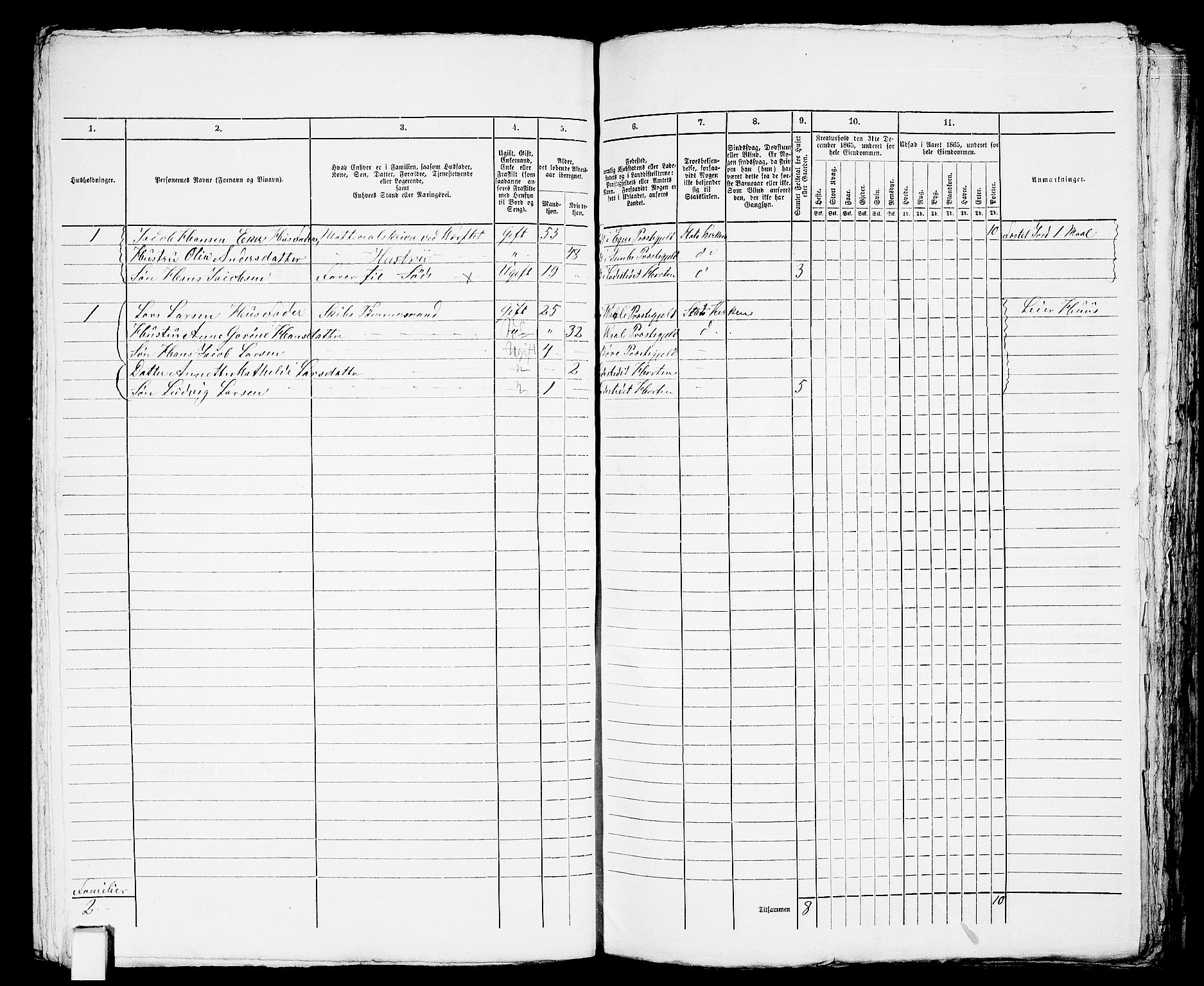 RA, 1865 census for Horten, 1865, p. 595