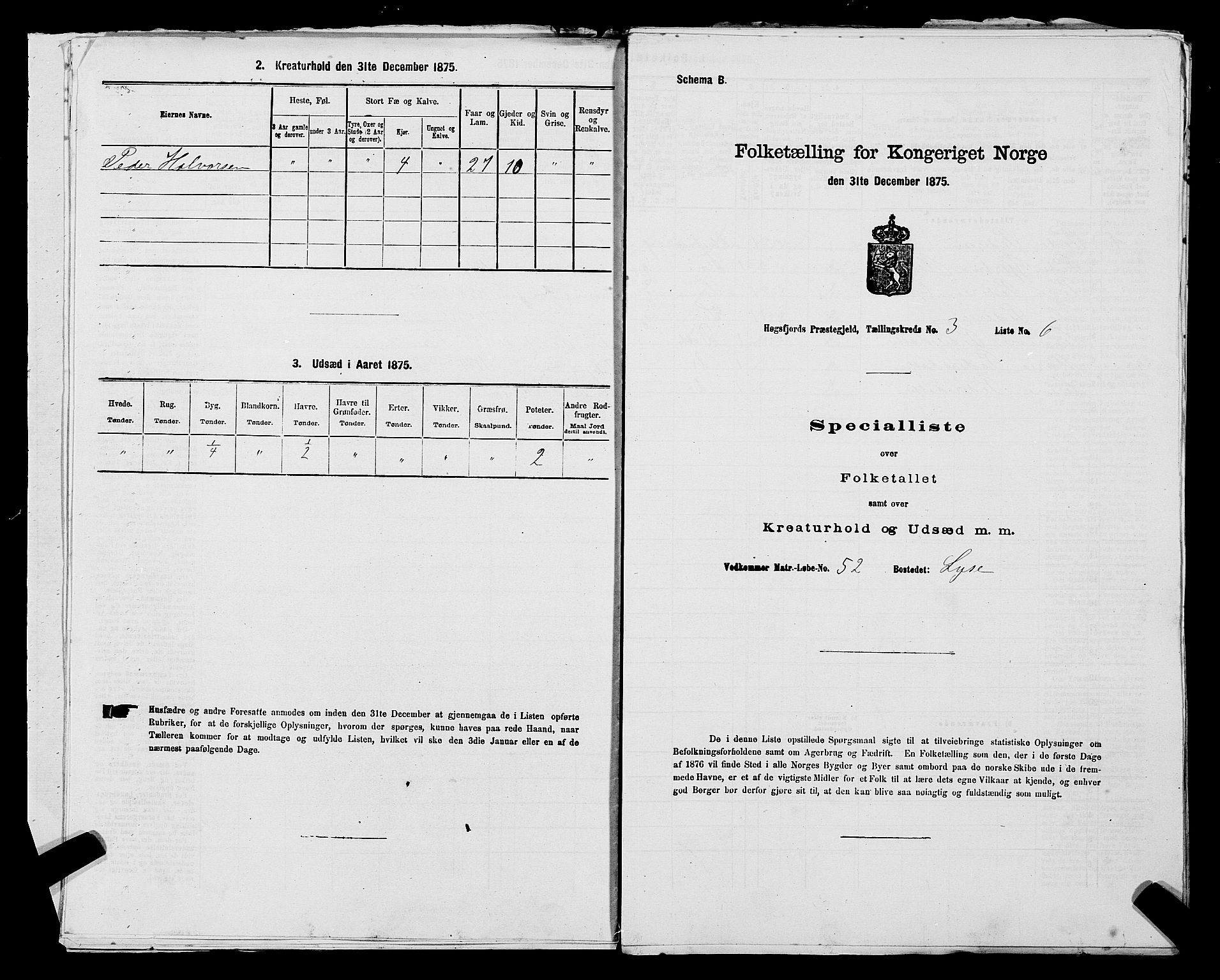 SAST, 1875 census for 1128P Høgsfjord, 1875, p. 251