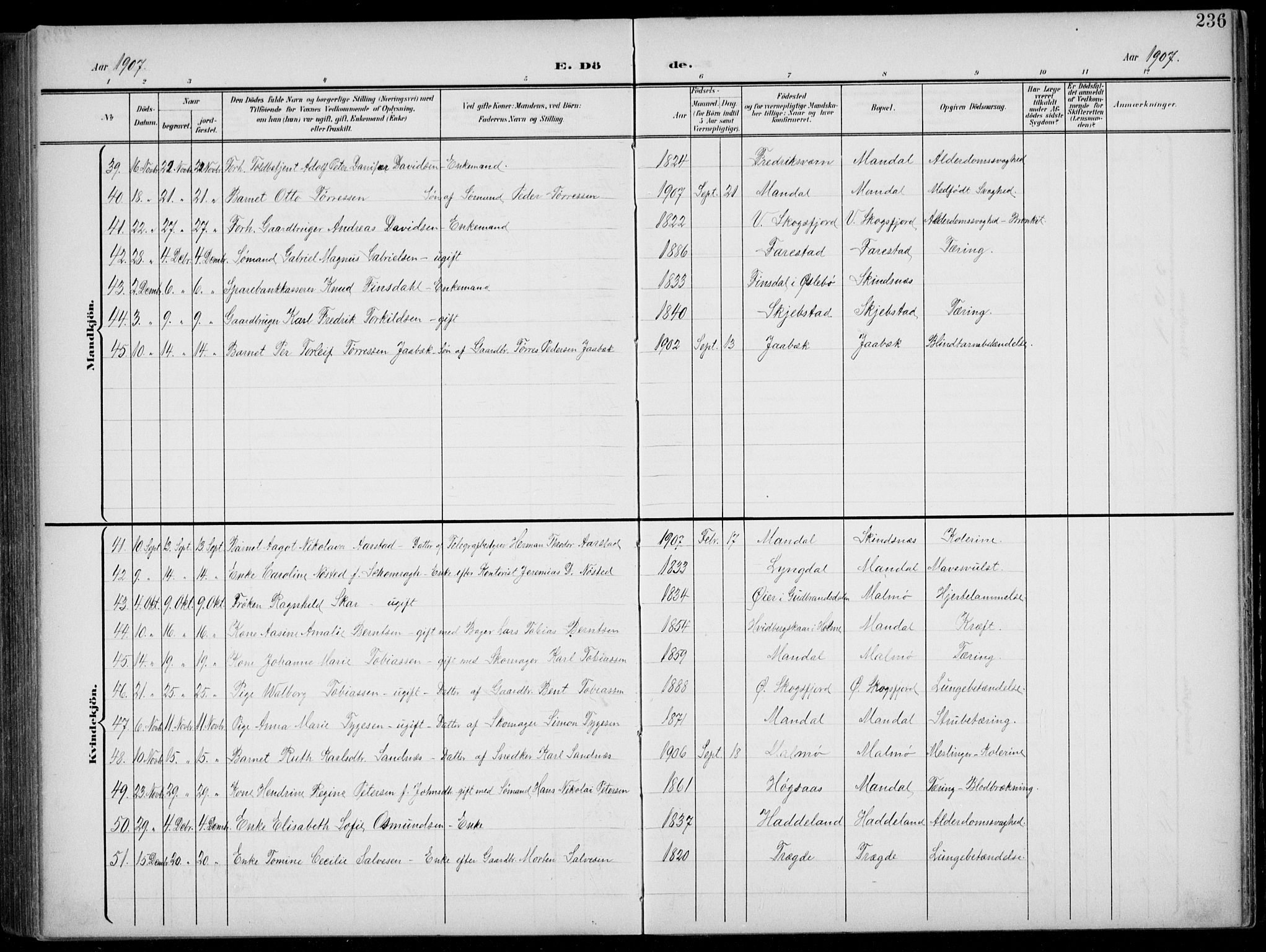 Mandal sokneprestkontor, AV/SAK-1111-0030/F/Fb/Fba/L0012: Parish register (copy) no. B 6, 1899-1918, p. 236