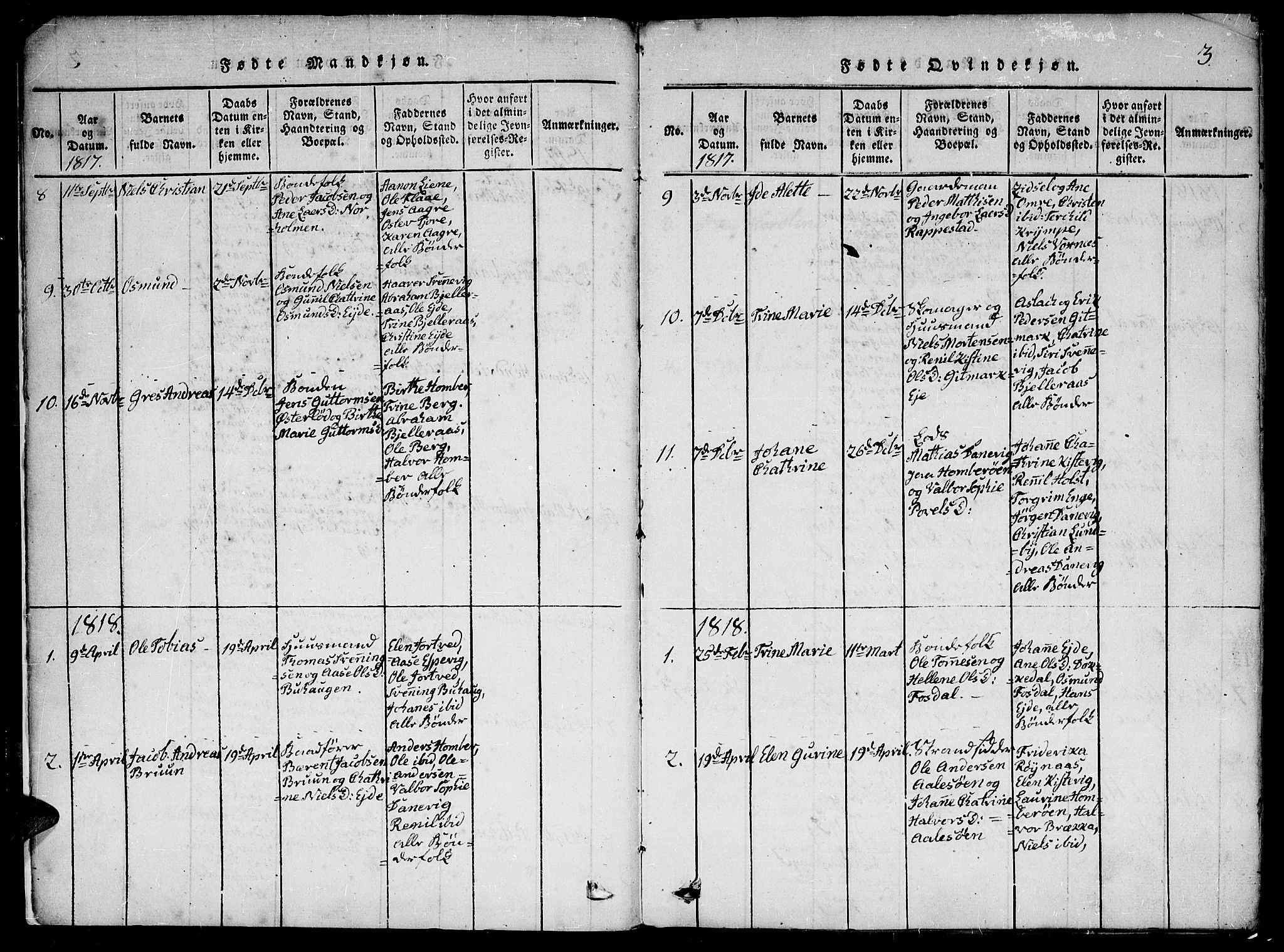 Hommedal sokneprestkontor, SAK/1111-0023/F/Fa/Faa/L0001: Parish register (official) no. A 1, 1816-1860, p. 3