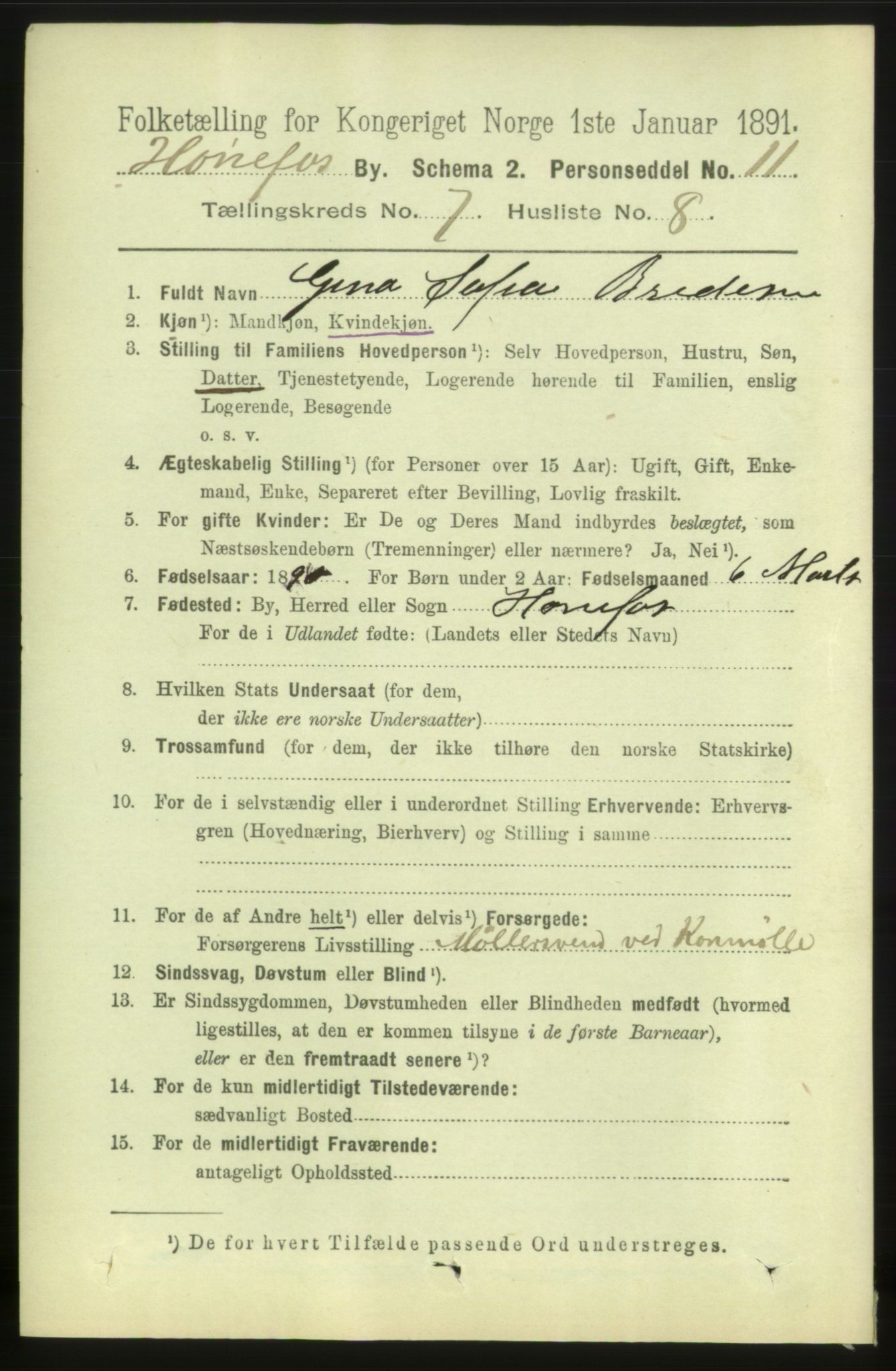 RA, 1891 census for 0601 Hønefoss, 1891, p. 1243