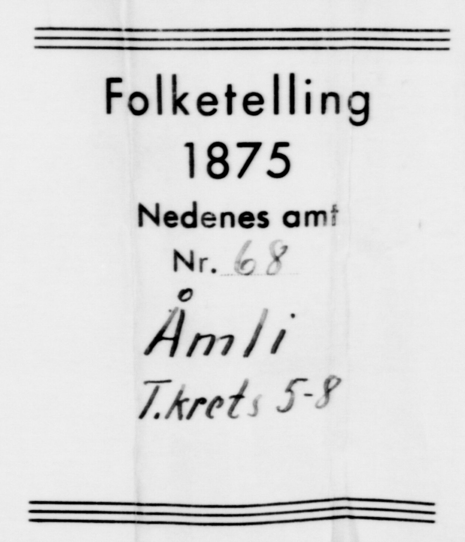 SAK, 1875 census for 0929P Åmli, 1875, p. 394