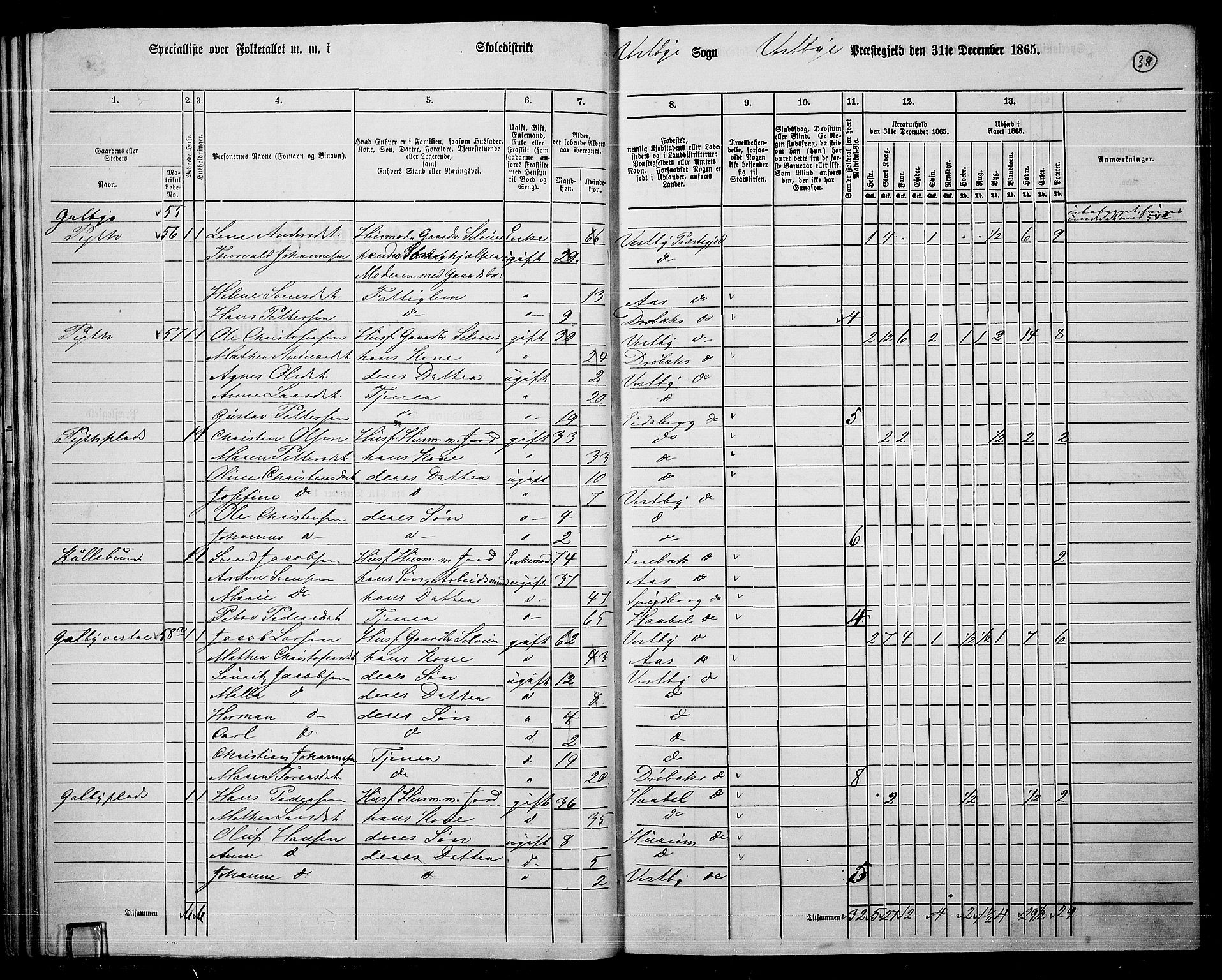 RA, 1865 census for Vestby, 1865, p. 38