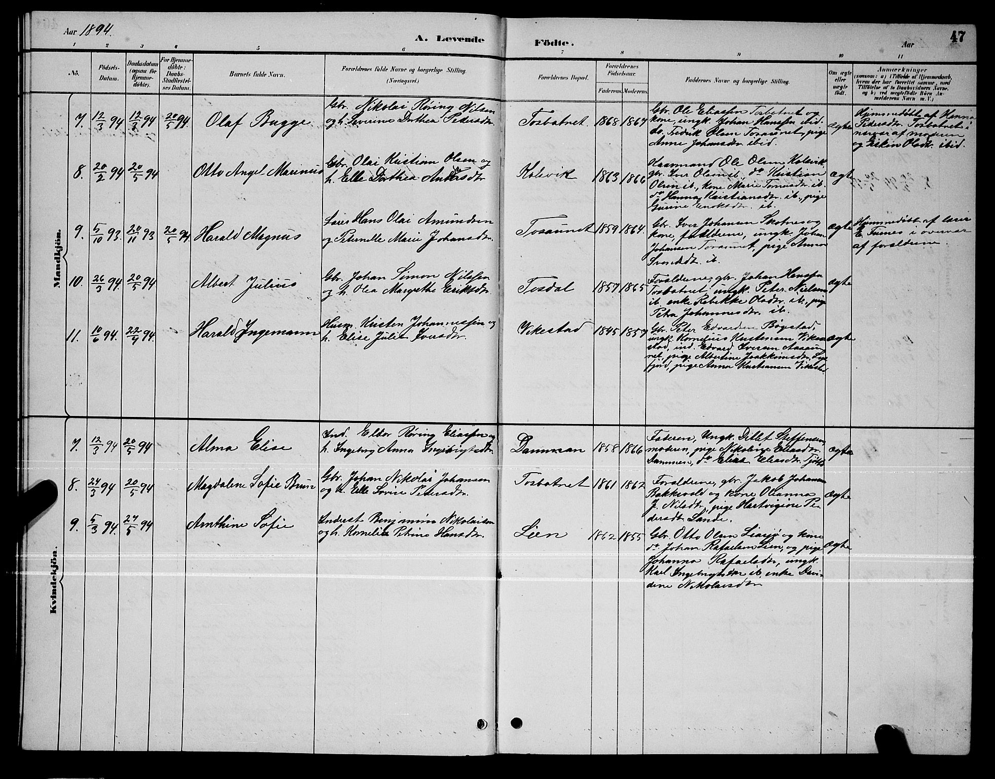 Ministerialprotokoller, klokkerbøker og fødselsregistre - Nordland, AV/SAT-A-1459/810/L0160: Parish register (copy) no. 810C03, 1884-1896, p. 47