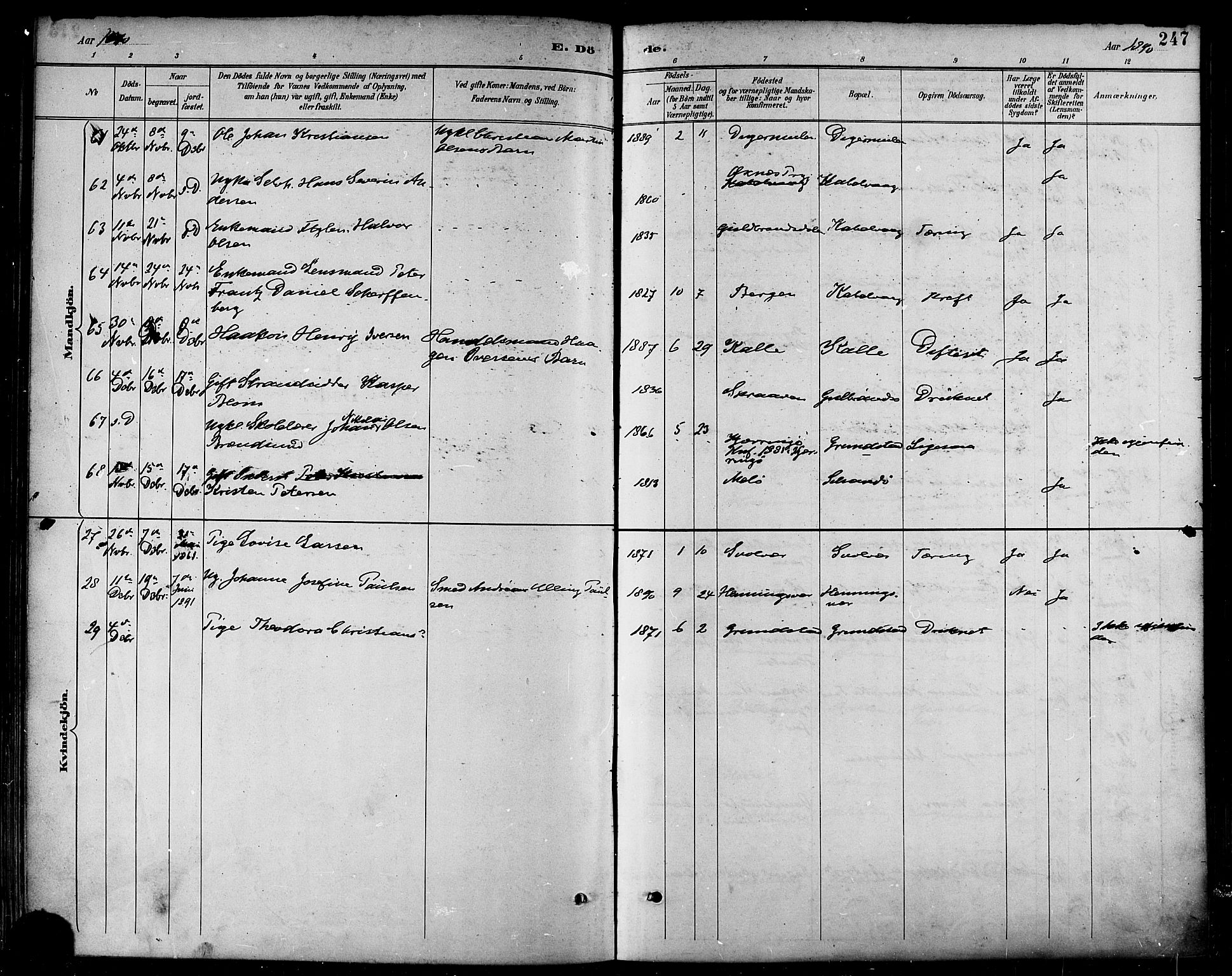 Ministerialprotokoller, klokkerbøker og fødselsregistre - Nordland, SAT/A-1459/874/L1060: Parish register (official) no. 874A04, 1890-1899, p. 247
