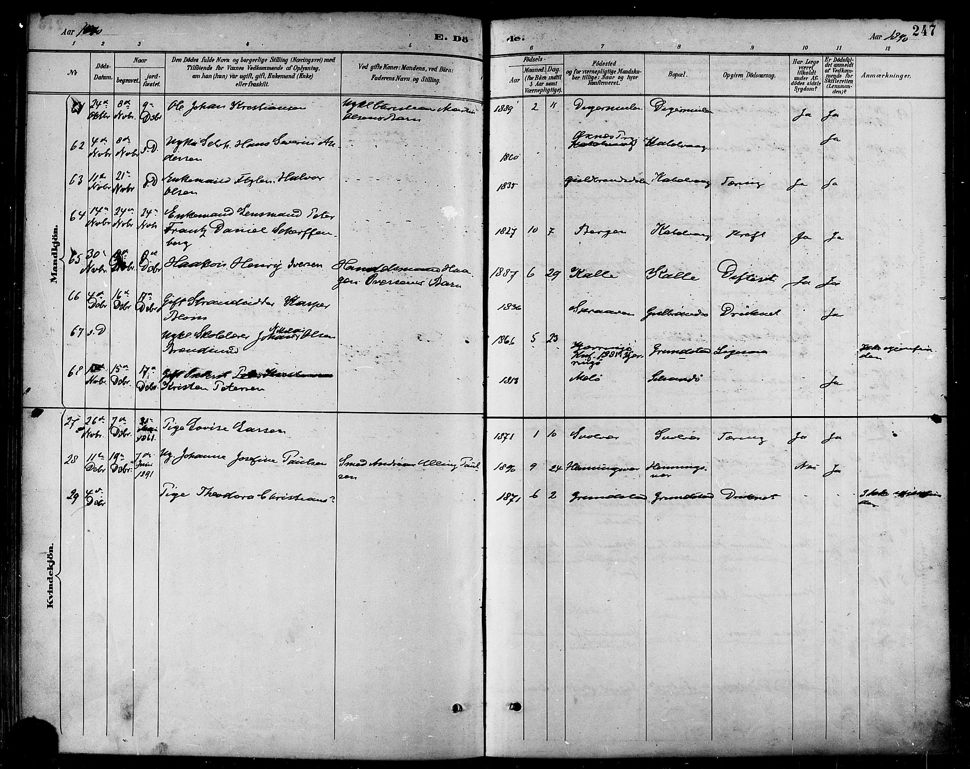 Ministerialprotokoller, klokkerbøker og fødselsregistre - Nordland, AV/SAT-A-1459/874/L1060: Parish register (official) no. 874A04, 1890-1899, p. 247