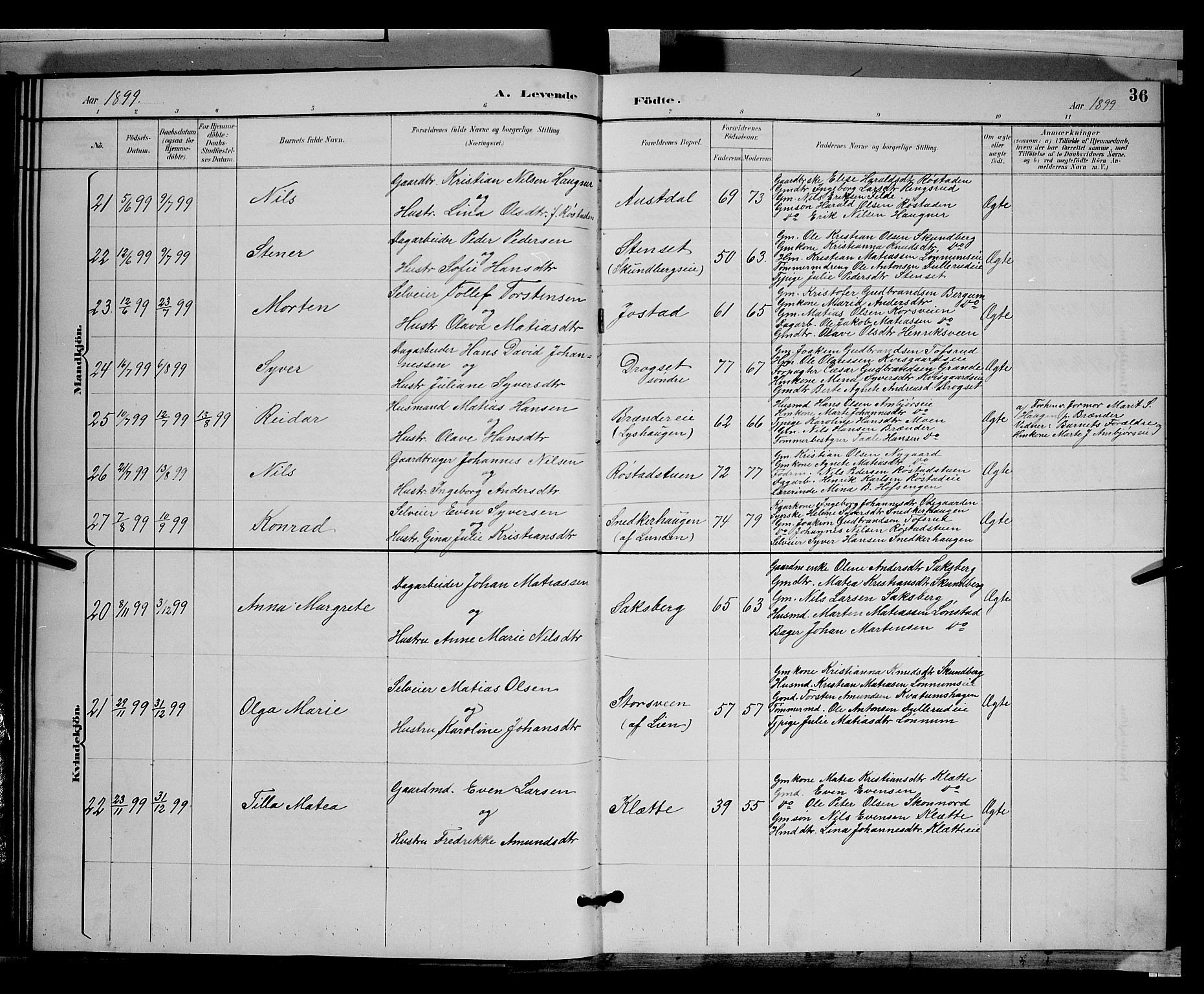 Biri prestekontor, SAH/PREST-096/H/Ha/Hab/L0003: Parish register (copy) no. 3, 1892-1905, p. 36