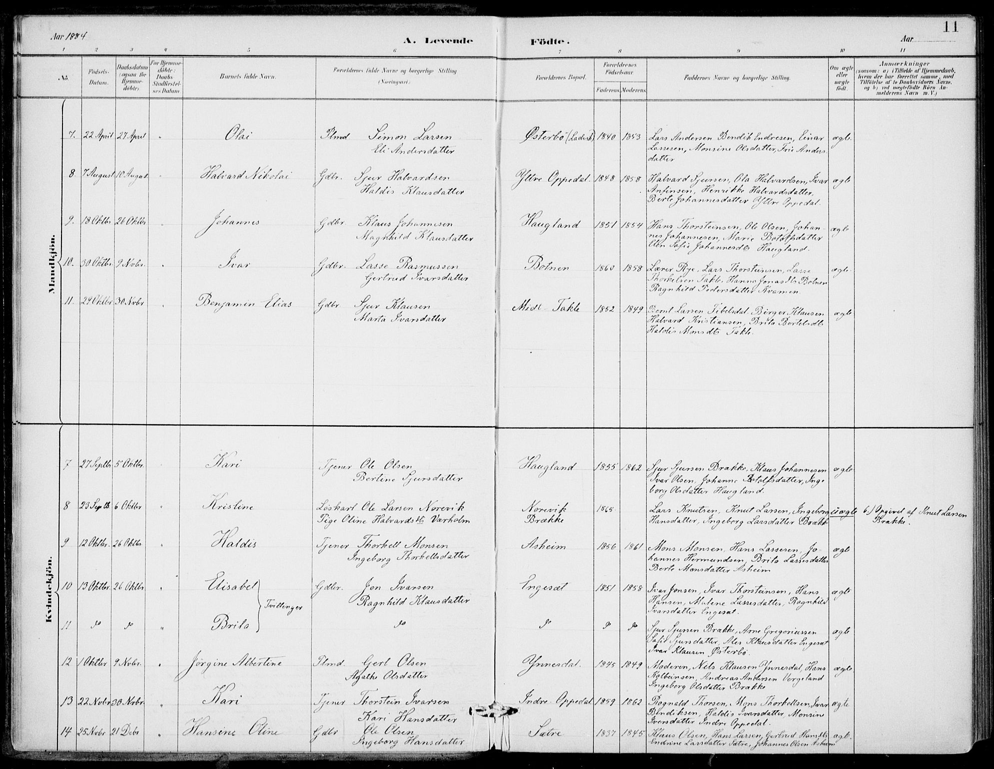 Gulen sokneprestembete, AV/SAB-A-80201/H/Haa/Haac/L0002: Parish register (official) no. C  2, 1882-1914, p. 11