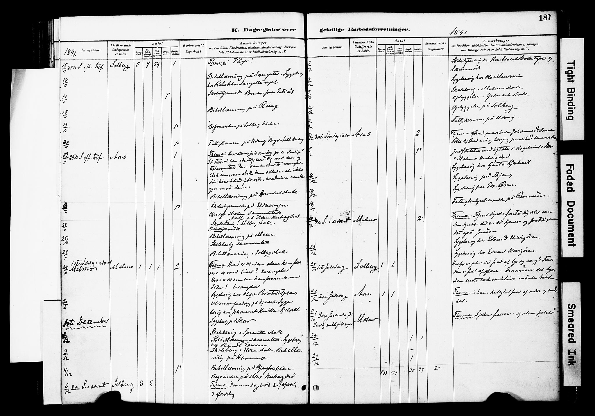 Ministerialprotokoller, klokkerbøker og fødselsregistre - Nord-Trøndelag, SAT/A-1458/741/L0396: Parish register (official) no. 741A10, 1889-1901, p. 187
