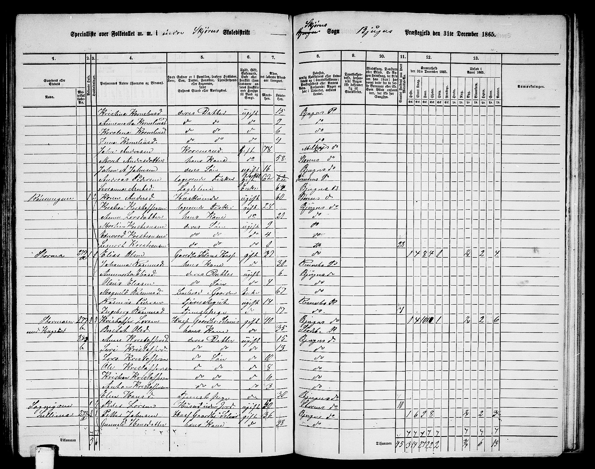 RA, 1865 census for Bjugn, 1865, p. 117