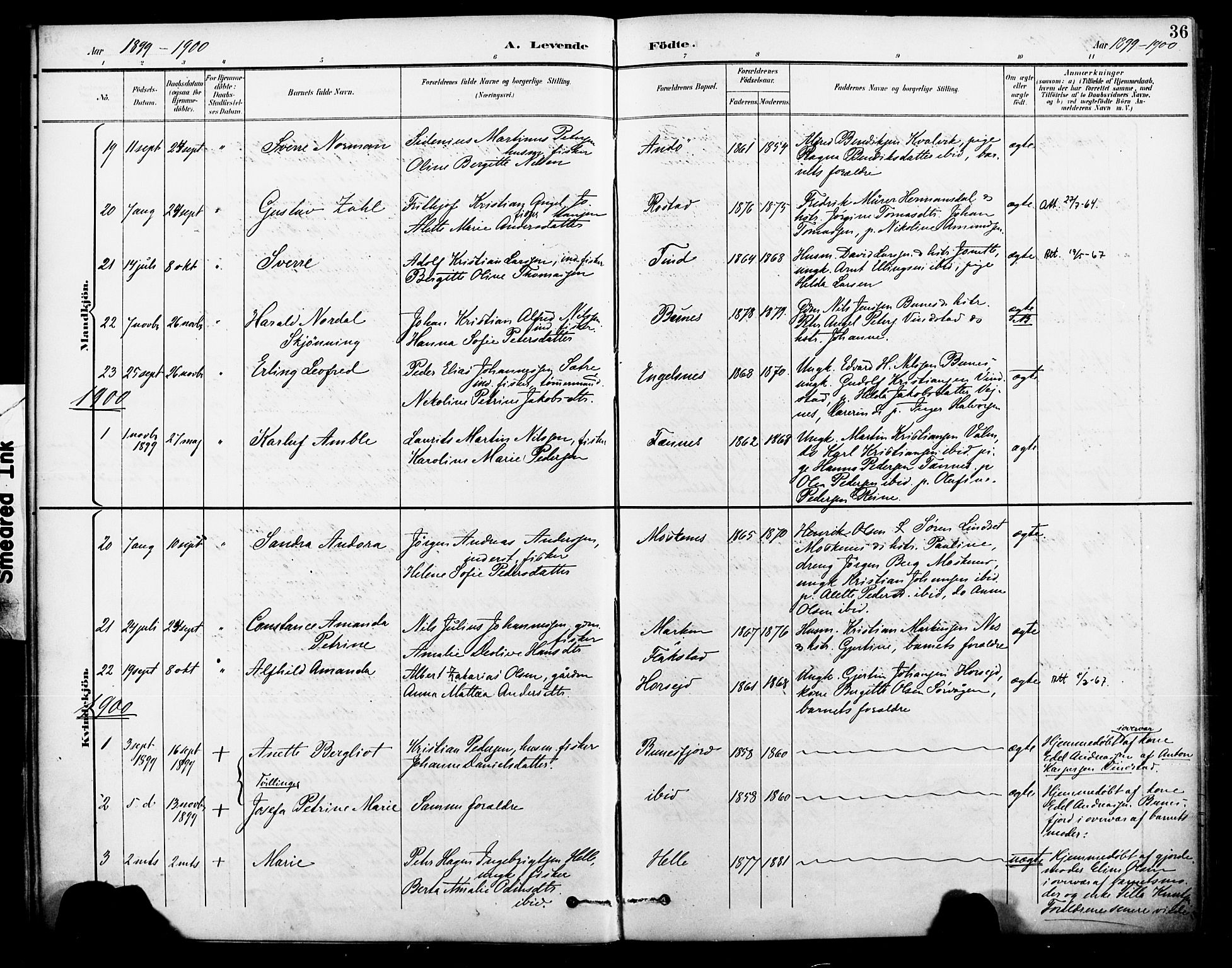 Ministerialprotokoller, klokkerbøker og fødselsregistre - Nordland, AV/SAT-A-1459/886/L1220: Parish register (official) no. 886A02, 1892-1903, p. 36