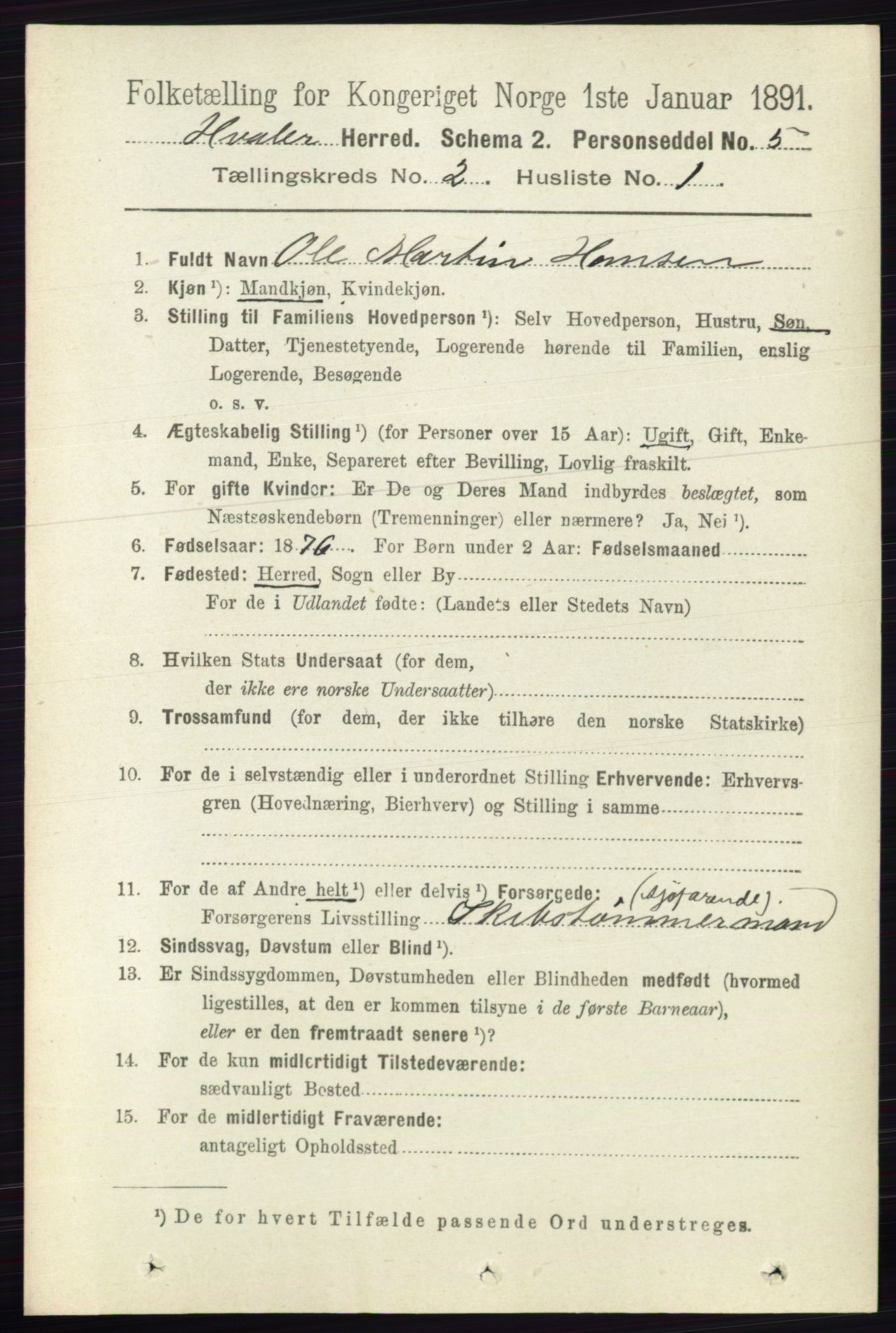 RA, 1891 census for 0111 Hvaler, 1891, p. 1009