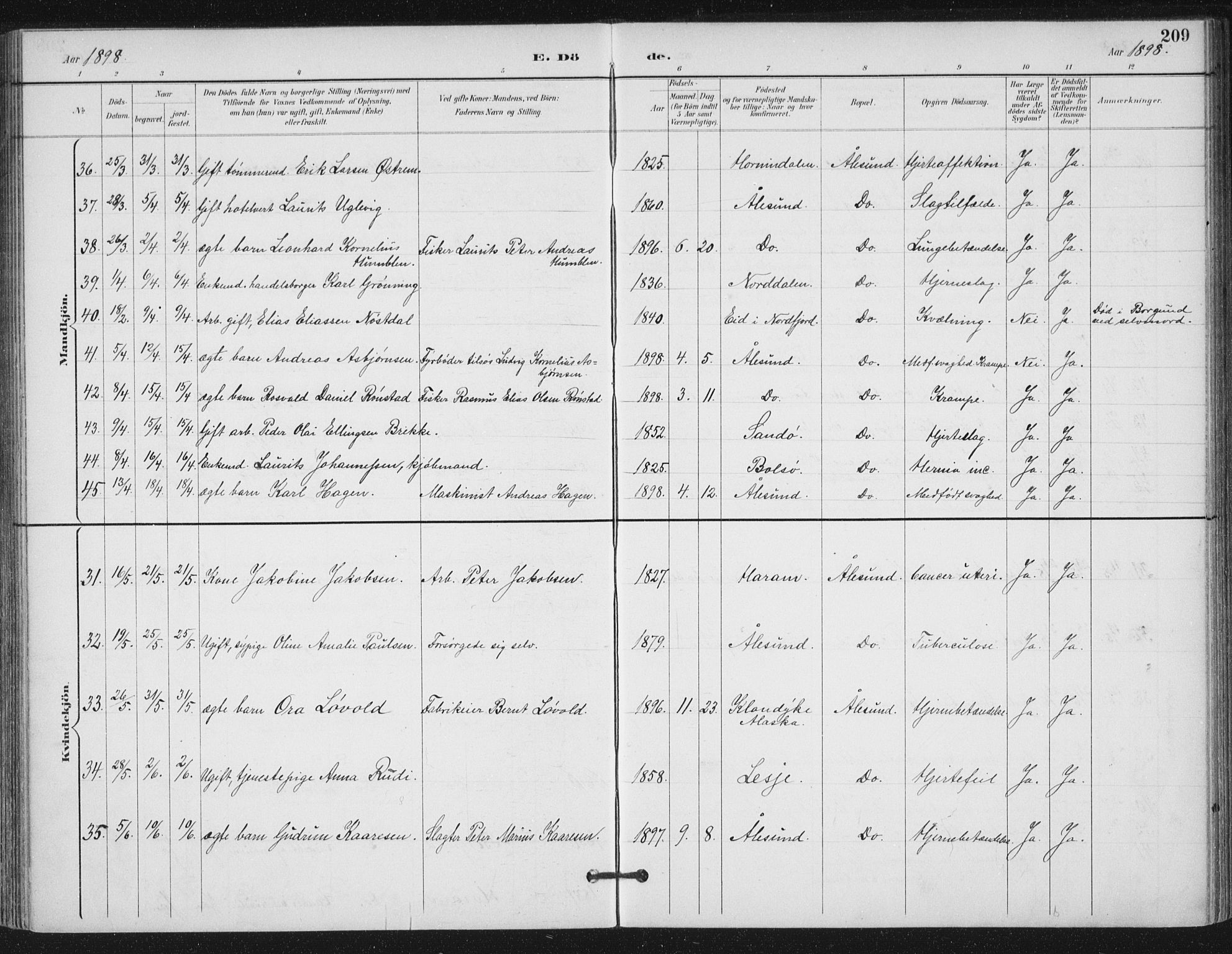 Ministerialprotokoller, klokkerbøker og fødselsregistre - Møre og Romsdal, AV/SAT-A-1454/529/L0457: Parish register (official) no. 529A07, 1894-1903, p. 209