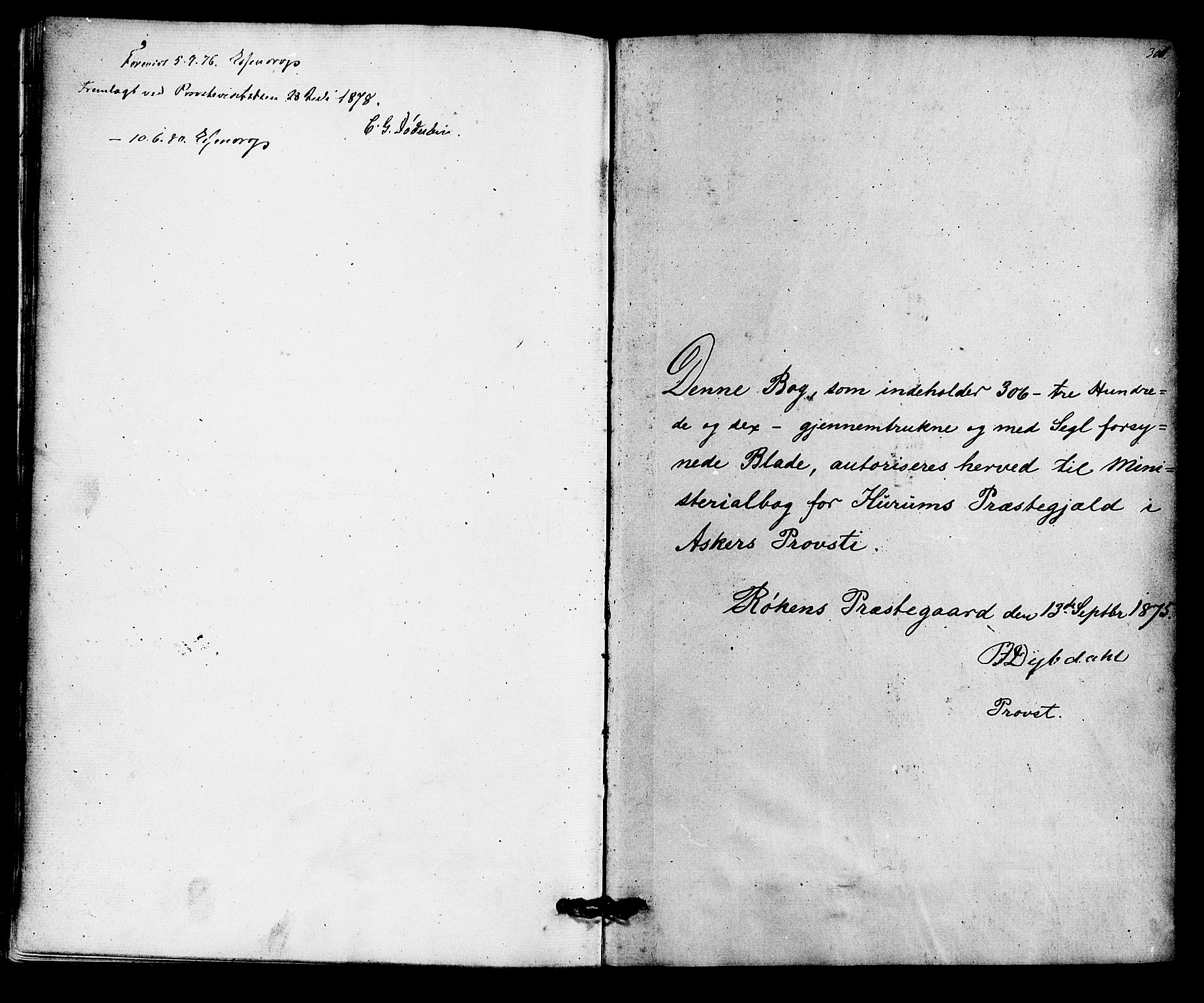 Hurum kirkebøker, SAKO/A-229/F/Fa/L0013: Parish register (official) no. 13, 1876-1881, p. 307