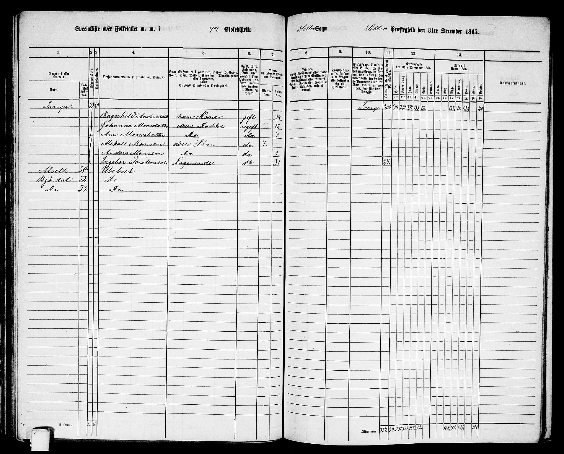 RA, 1865 census for Selbu, 1865, p. 63