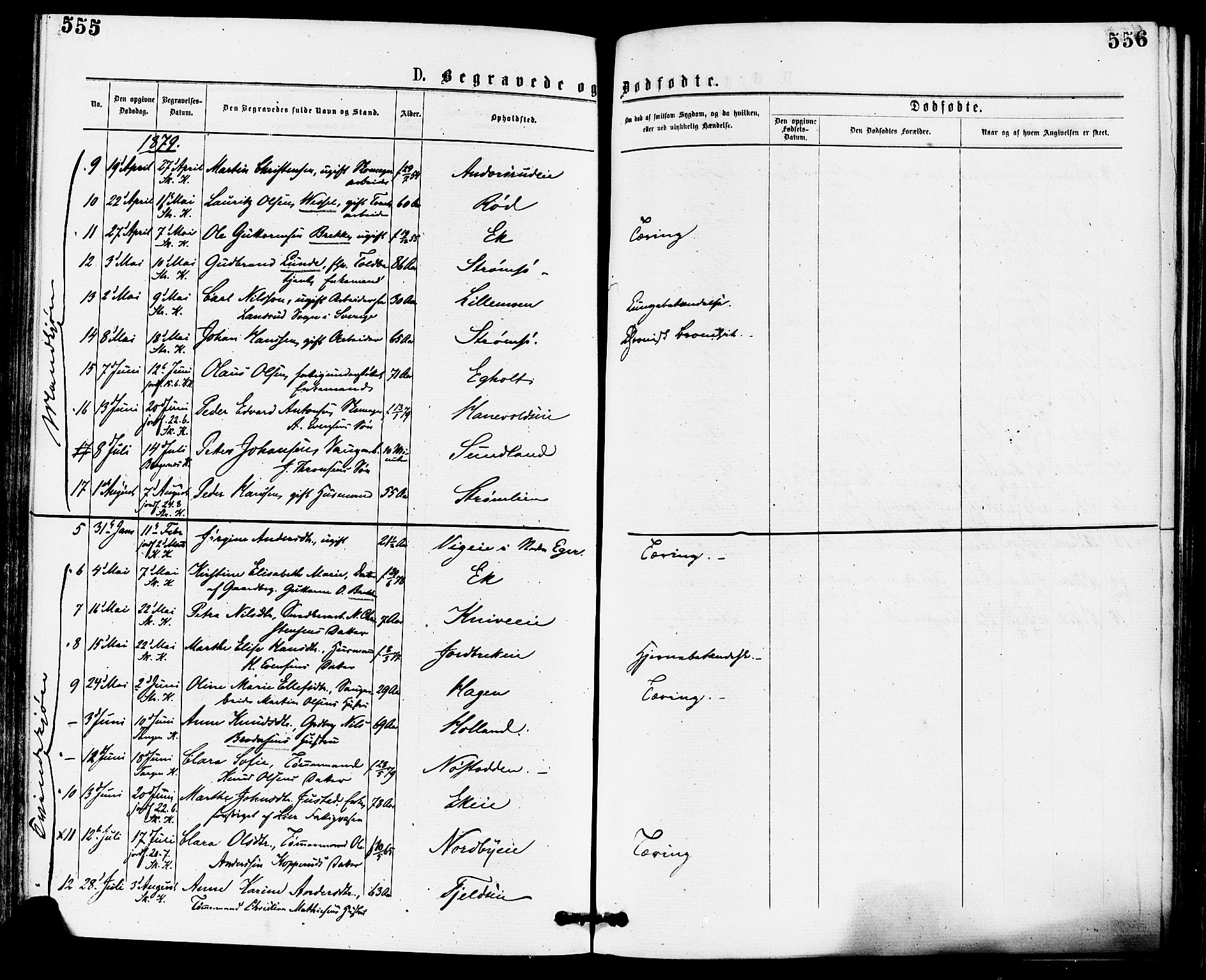 Skoger kirkebøker, AV/SAKO-A-59/F/Fa/L0005: Parish register (official) no. I 5, 1873-1884, p. 555-556