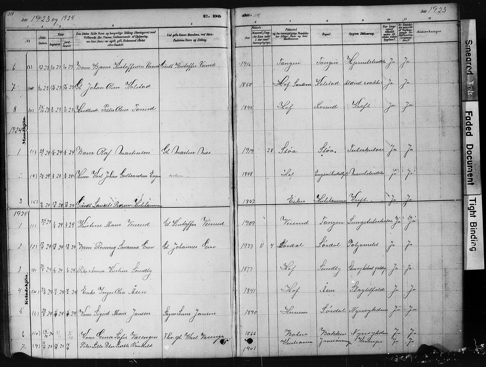 Hof kirkebøker, AV/SAKO-A-64/G/Ga/L0004: Parish register (copy) no. I 4, 1878-1930, p. 315