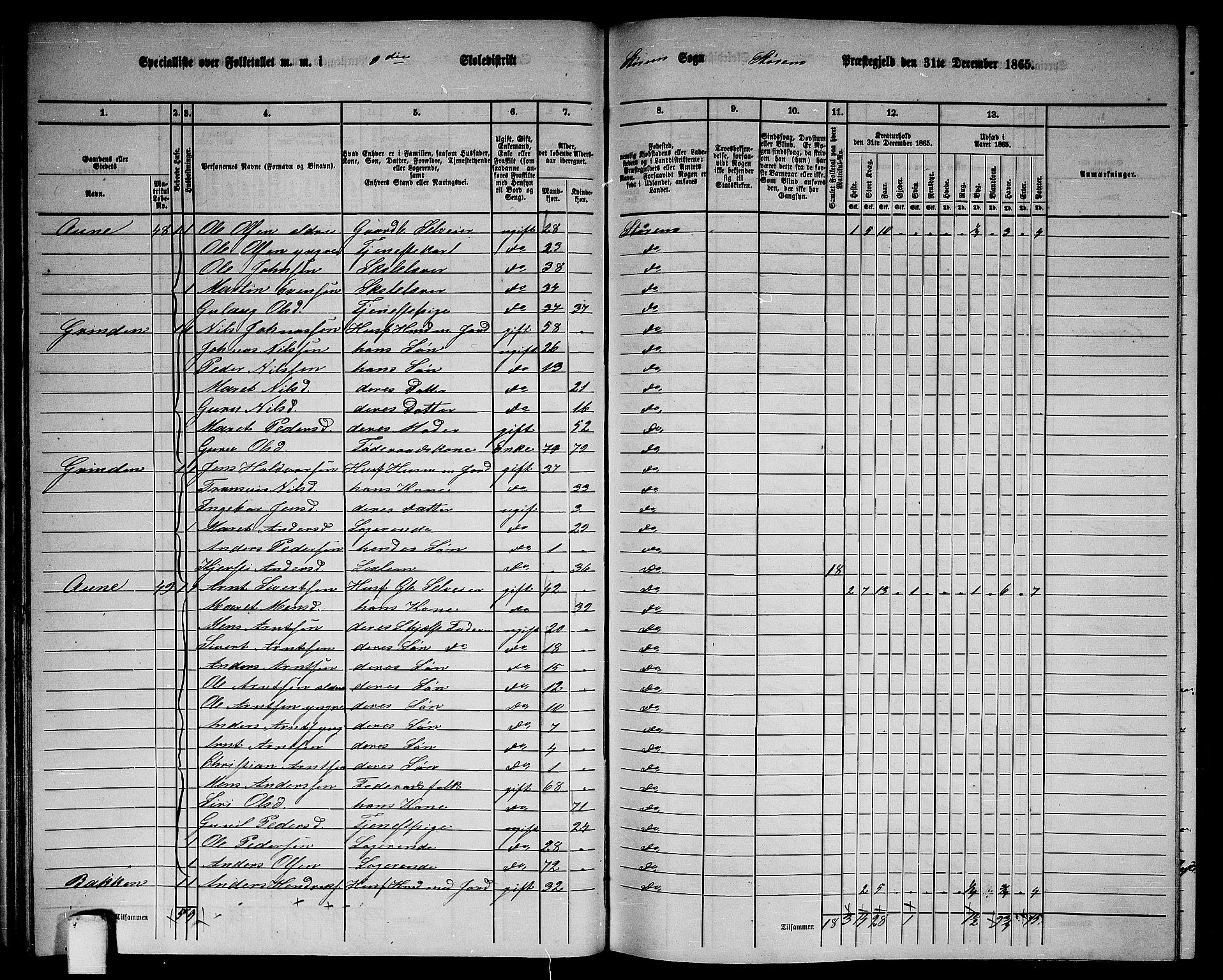 RA, 1865 census for Støren, 1865, p. 57