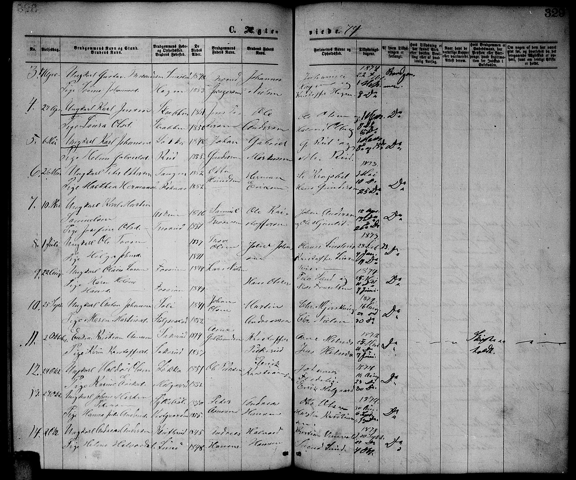 Enebakk prestekontor Kirkebøker, AV/SAO-A-10171c/G/Ga/L0005: Parish register (copy) no. I 5, 1867-1888, p. 329