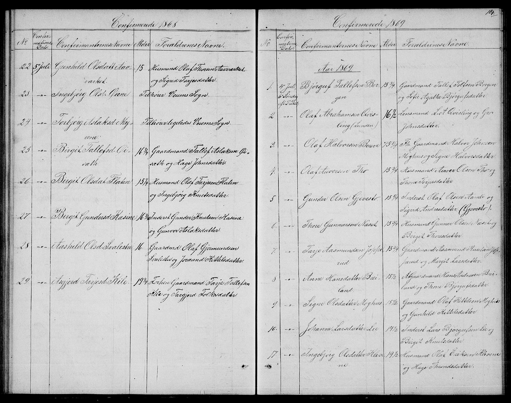 Fyresdal kirkebøker, SAKO/A-263/G/Ga/L0004: Parish register (copy) no. I 4, 1864-1892, p. 104