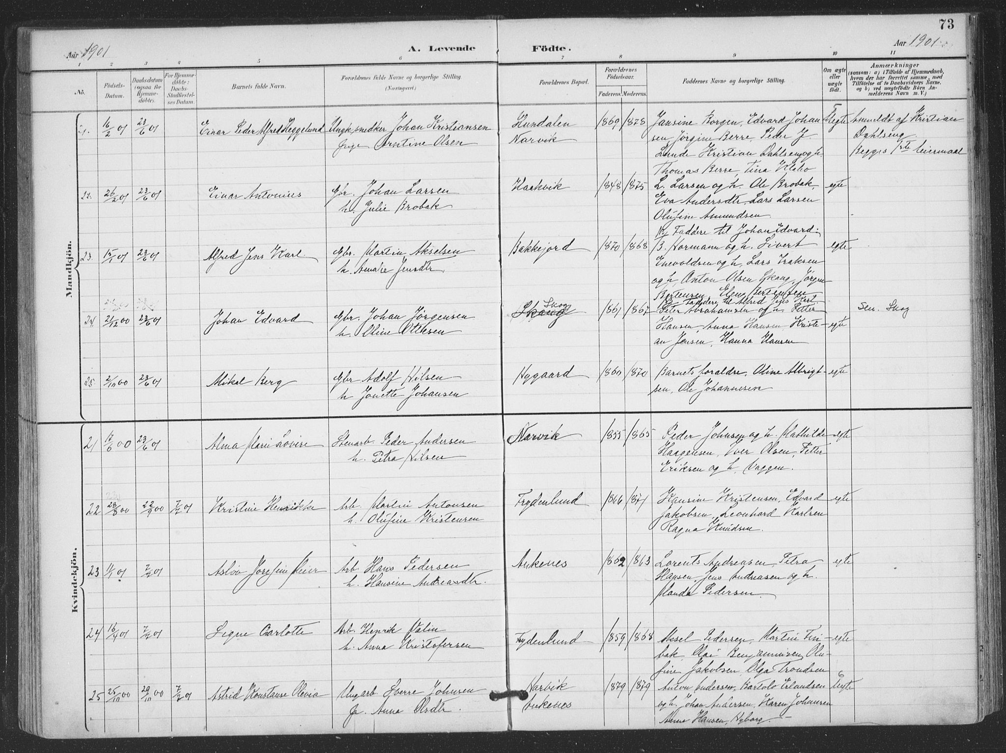 Ministerialprotokoller, klokkerbøker og fødselsregistre - Nordland, AV/SAT-A-1459/866/L0939: Parish register (official) no. 866A02, 1894-1906, p. 73