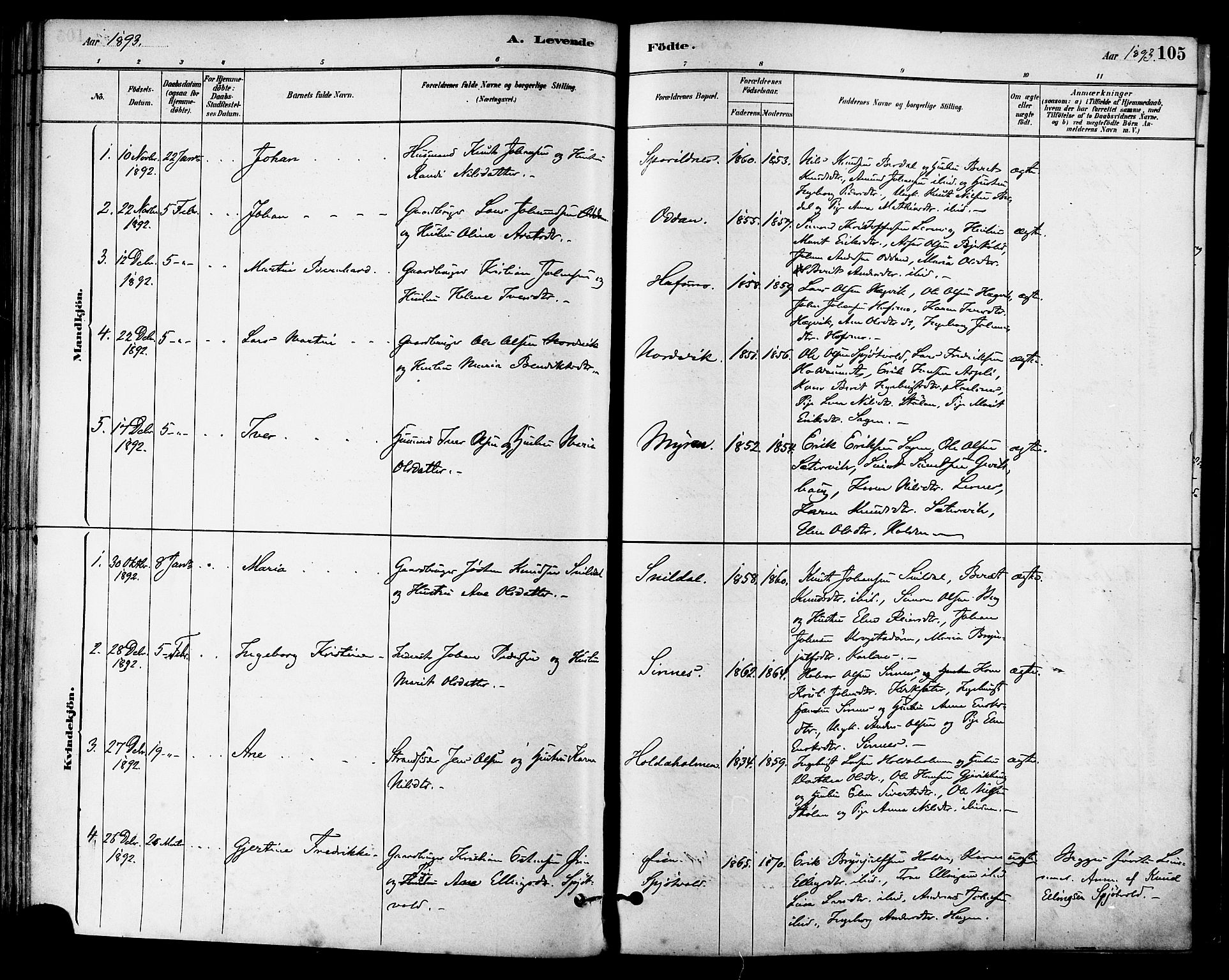Ministerialprotokoller, klokkerbøker og fødselsregistre - Sør-Trøndelag, SAT/A-1456/630/L0496: Parish register (official) no. 630A09, 1879-1895, p. 105