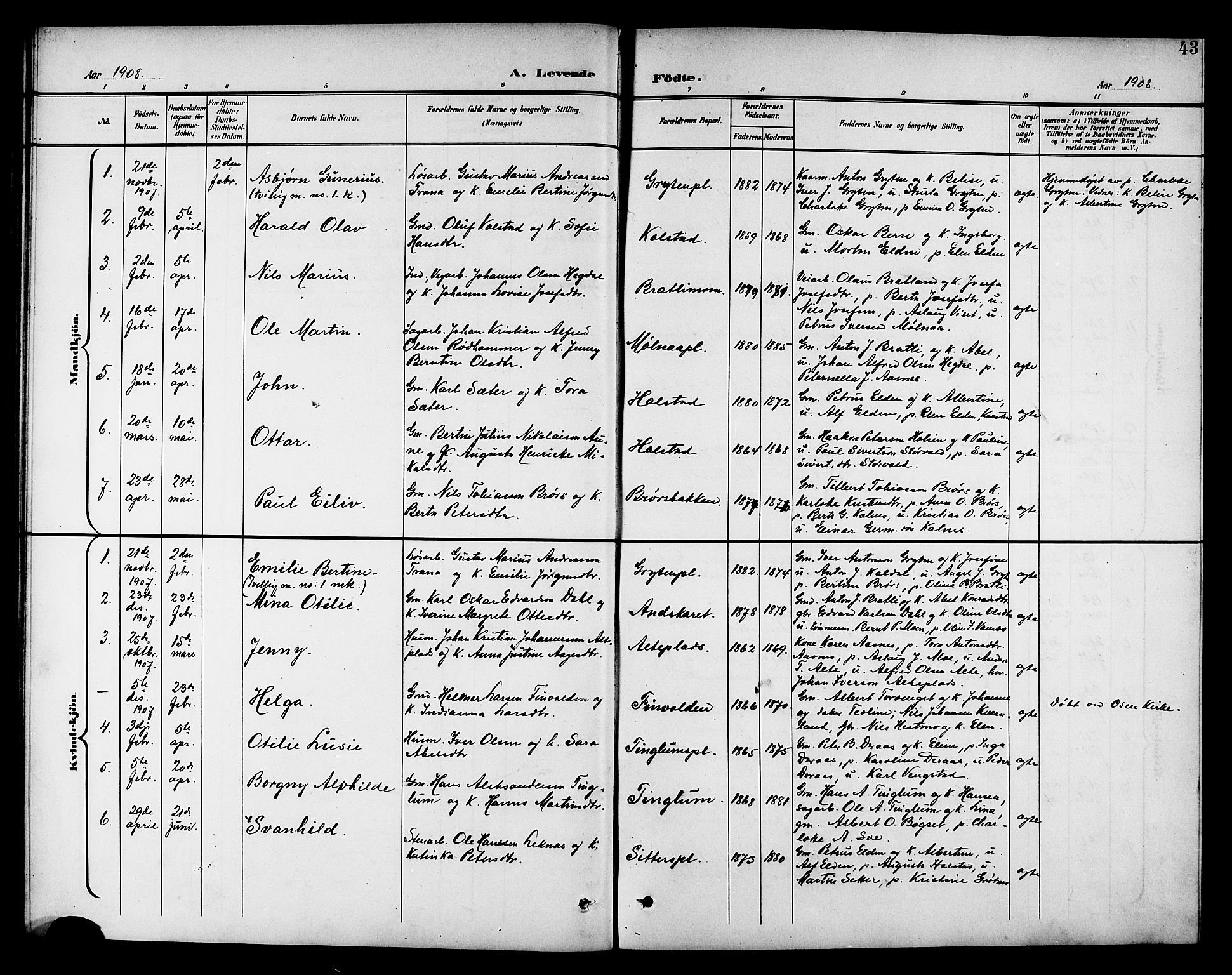 Ministerialprotokoller, klokkerbøker og fødselsregistre - Nord-Trøndelag, SAT/A-1458/742/L0412: Parish register (copy) no. 742C03, 1898-1910, p. 43