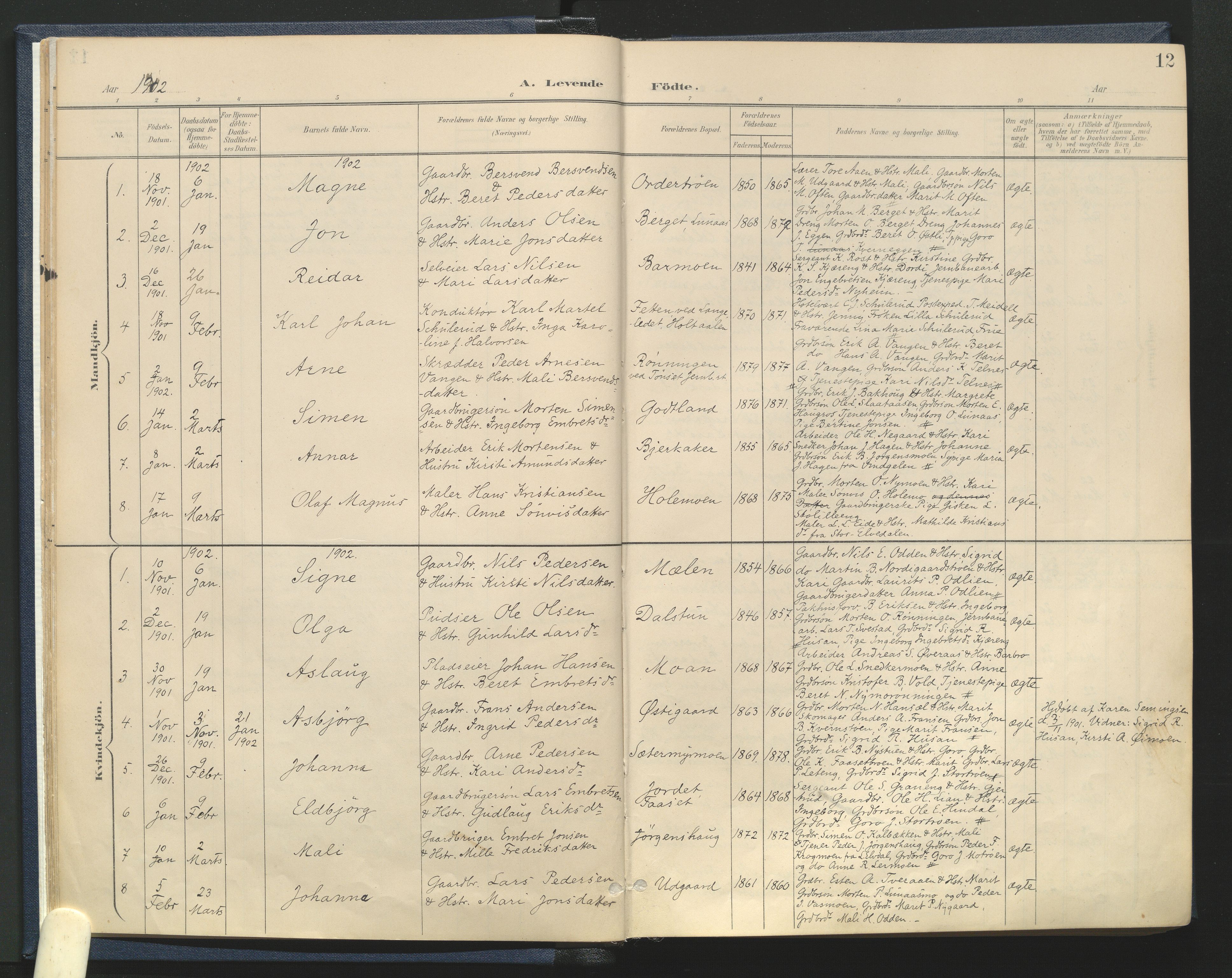Tynset prestekontor, SAH/PREST-058/H/Ha/Haa/L0025: Parish register (official) no. 25, 1900-1914, p. 12